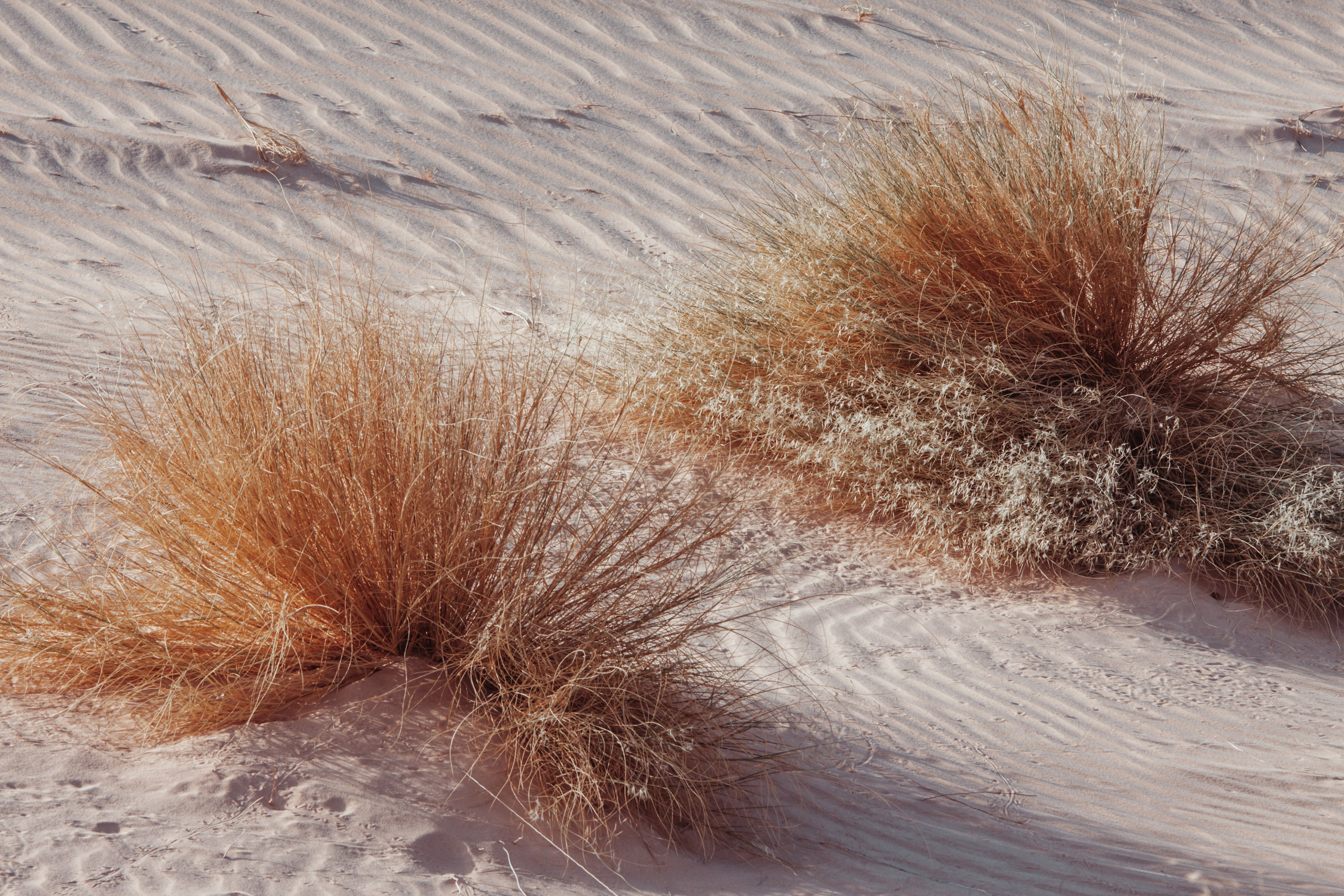 Дария Галямова — фотограф: открытый, творческий, коммерческий