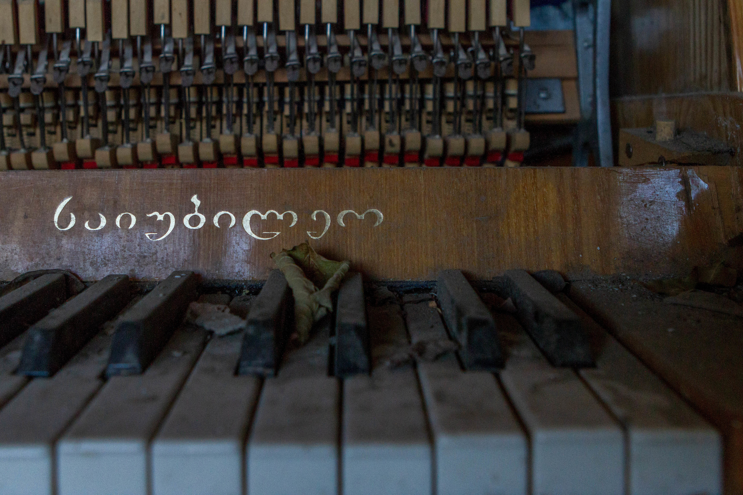 42°13′35″ N 43°58′10″ E. Elena Kalyuzhnaya