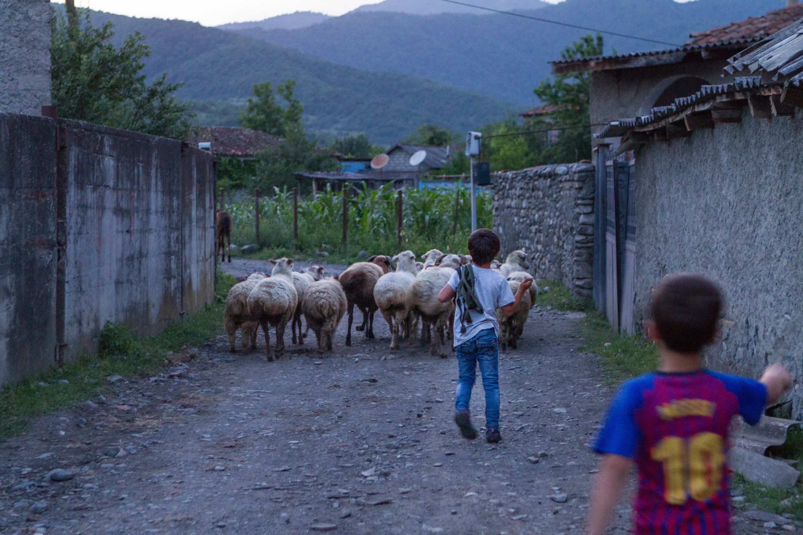 Pankisi valley. Elena Kalyuzhnaya