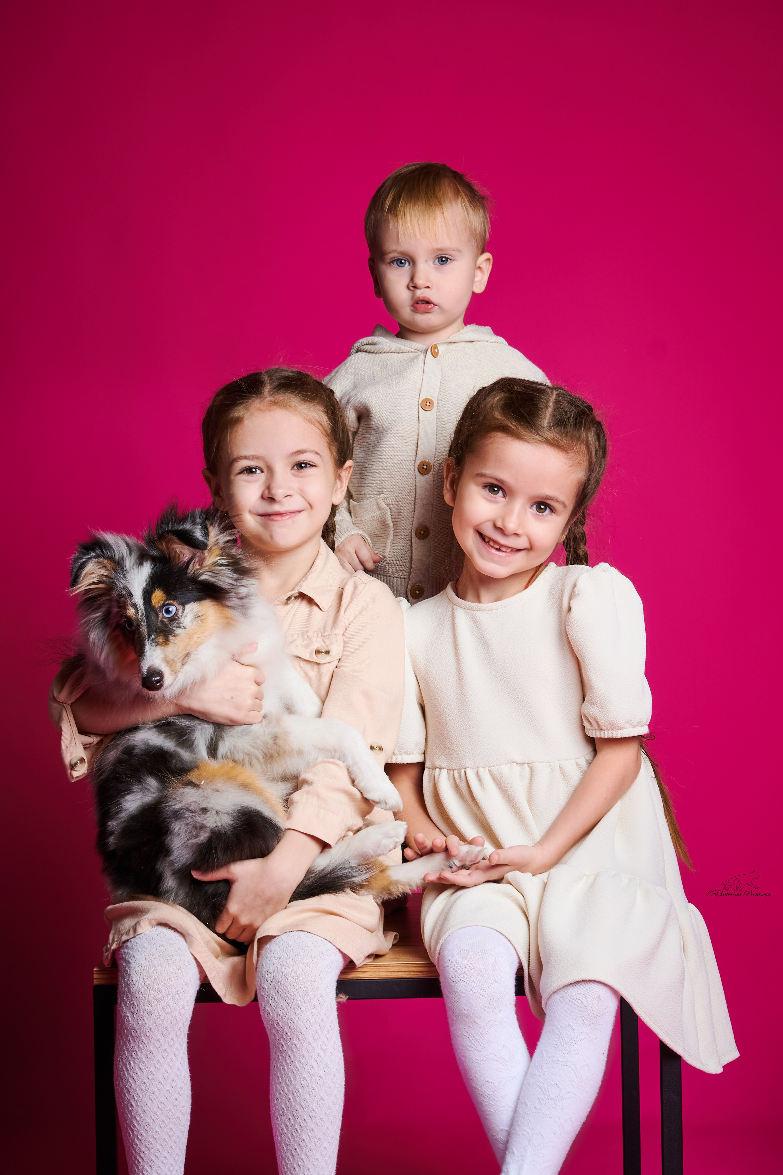 Джек и его семья. Фотограф-анималист в Иркутске