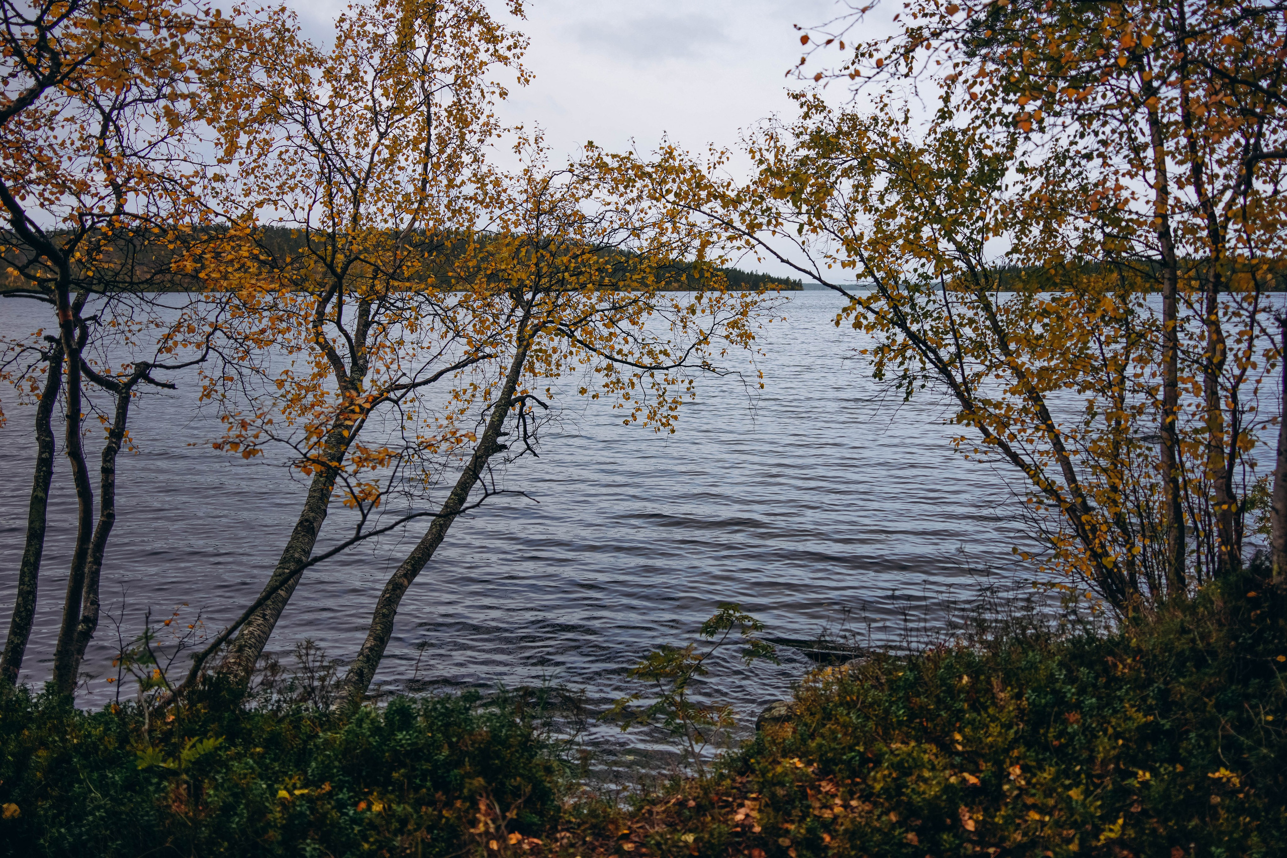СЕВЕР. Event фотограф Степанова Александра
