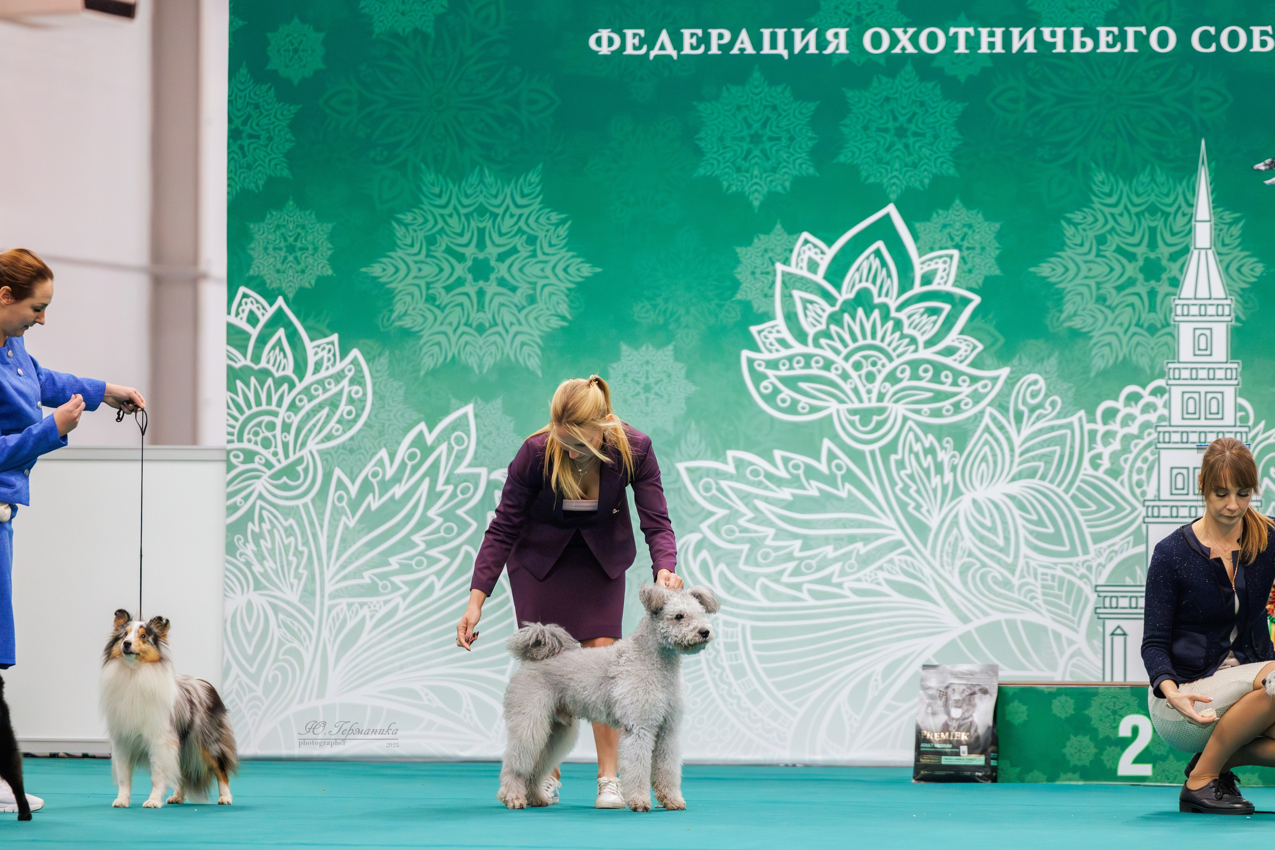 Зилант Казань 29-30.11.2025. Фотограф-анималист Юлия Германика