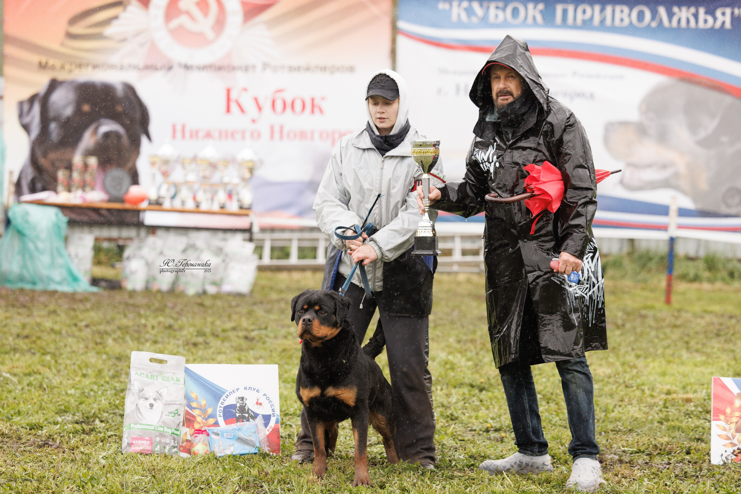 Нижний Новгород 2хмоно ротвейлеров 10-11.05.2025. Фотограф-анималист Юлия Германика