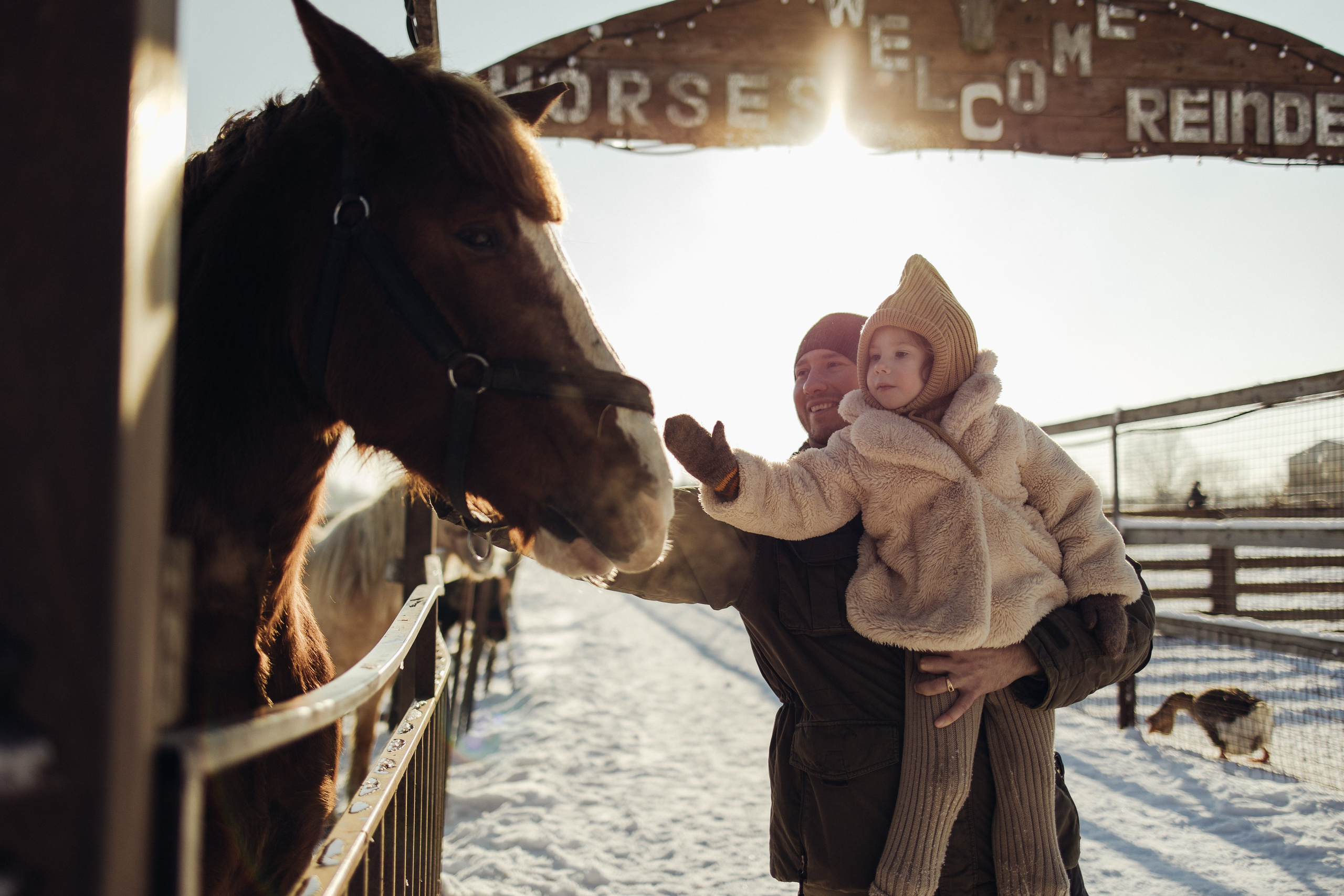 На ранчо. Портретный фотограф в Санкт-Петербурге