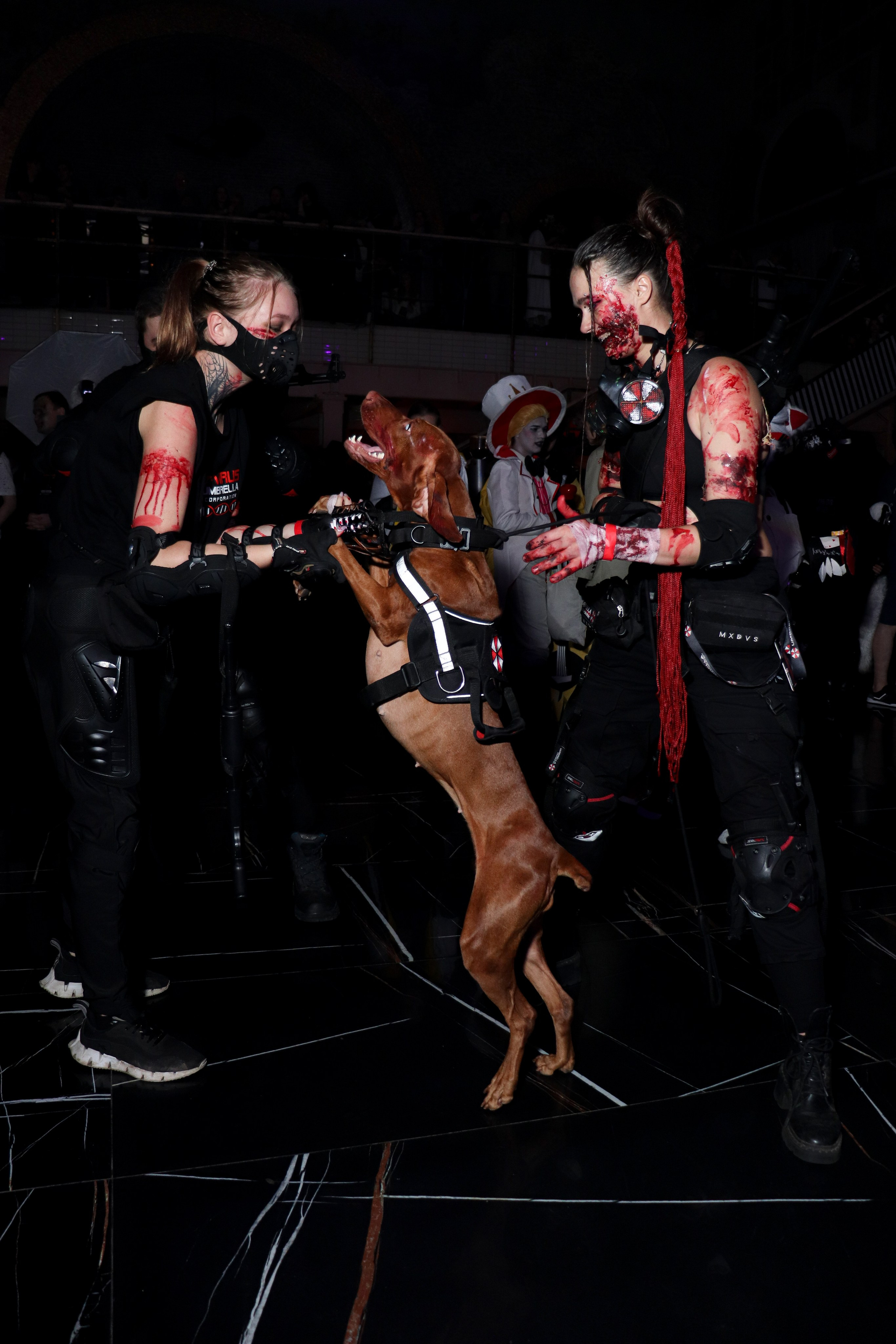 Некрокомиккон (3–4 ноября 2024). Ивентный фотограф в Санкт-Петербурге Олег Комков