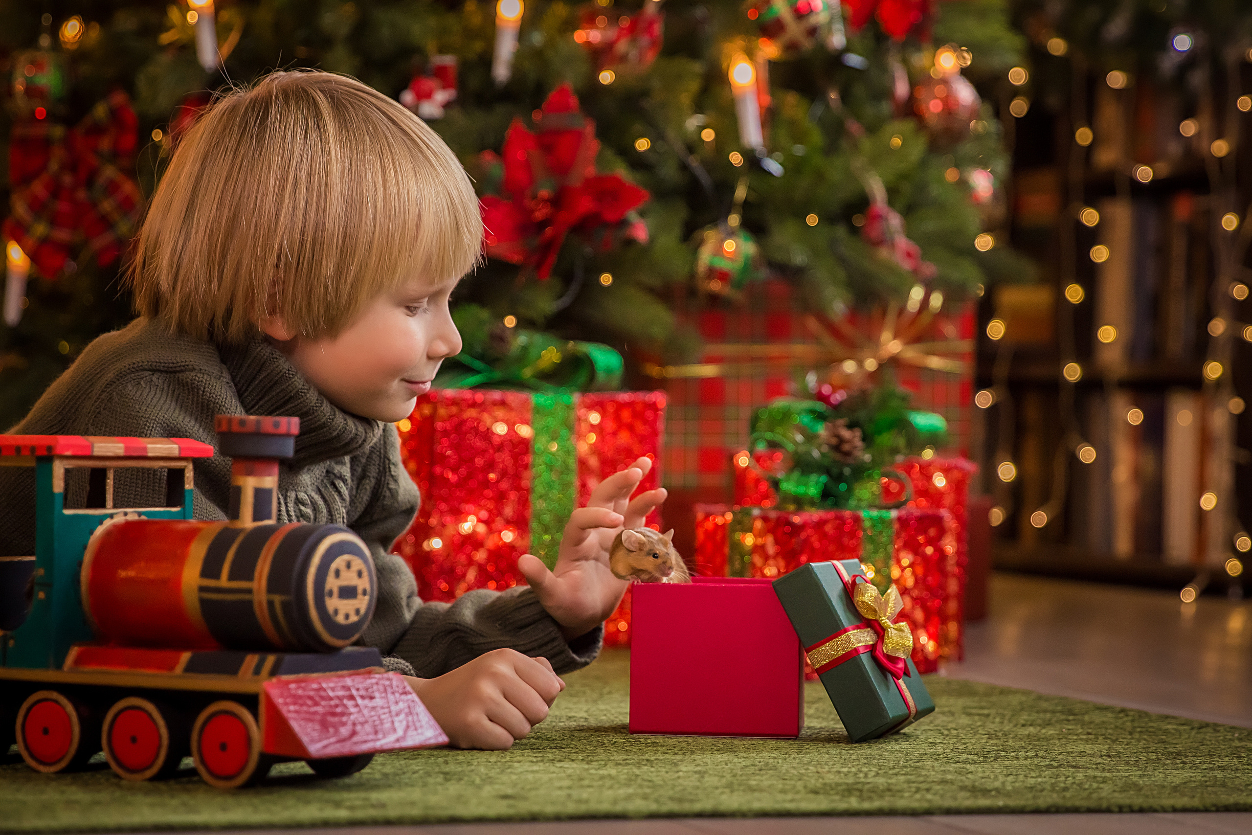 Новогодняя фотосессия 2025 в Москве. Интерьеры, Контент, Портреты | Фотограф в Москве Дани Терно
