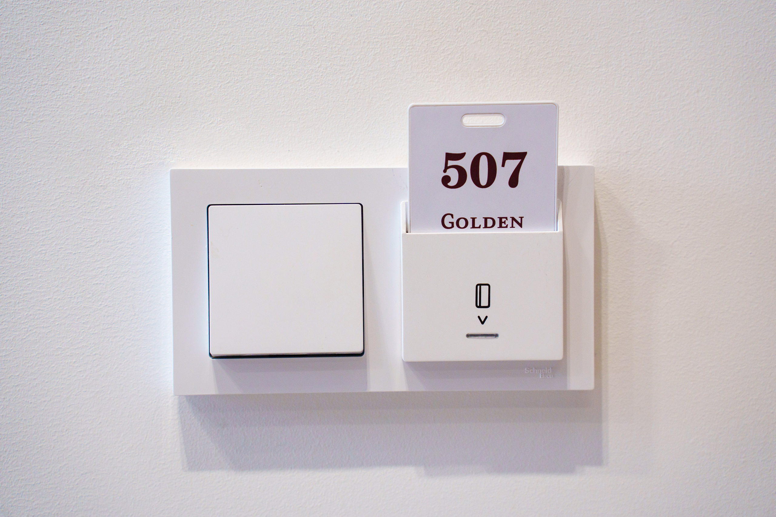 Интерьерная съёмка Golden Hourse. Свадебный и семейный фотограф в Ростове-на-Дону. Андрей Сайфутдинов