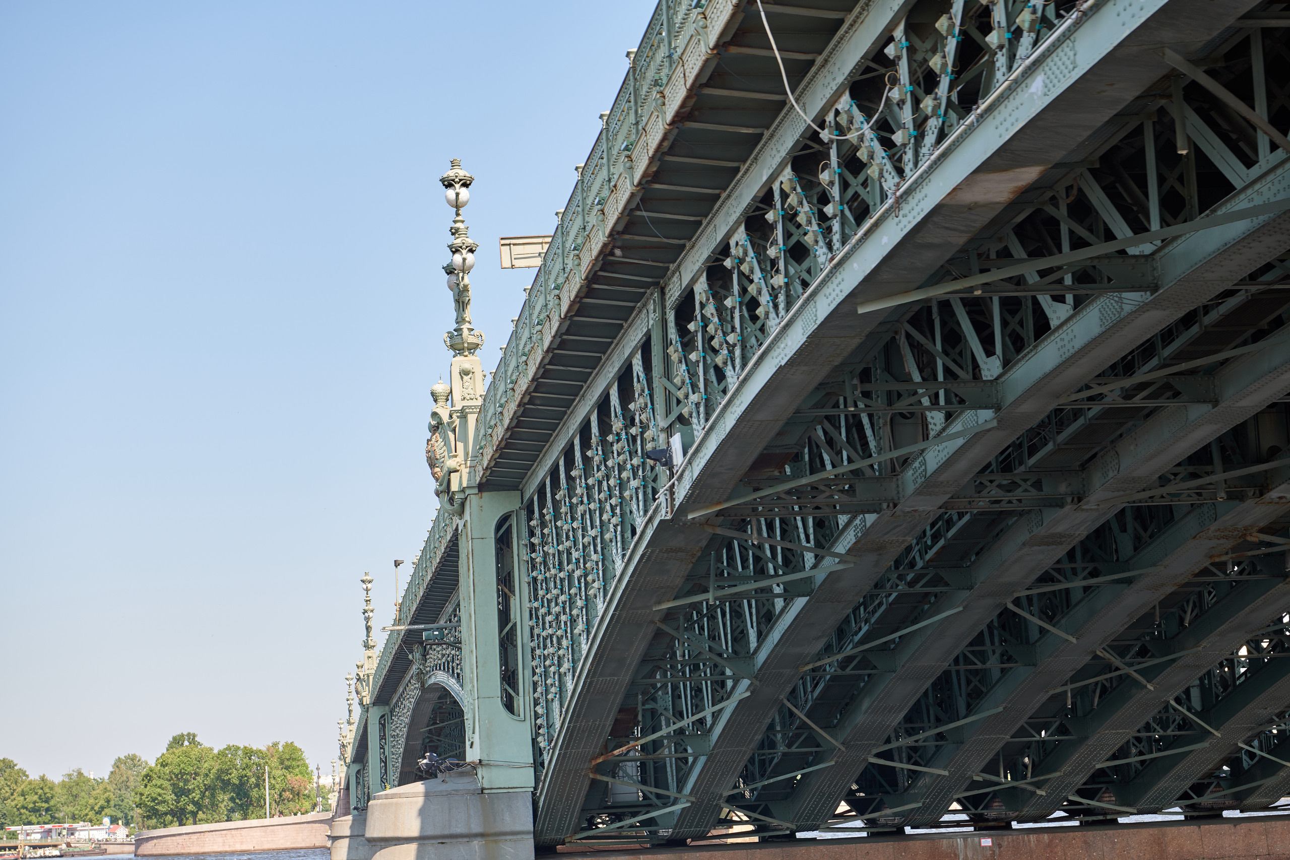 НАШИ ФОТО. Владимир Власюк