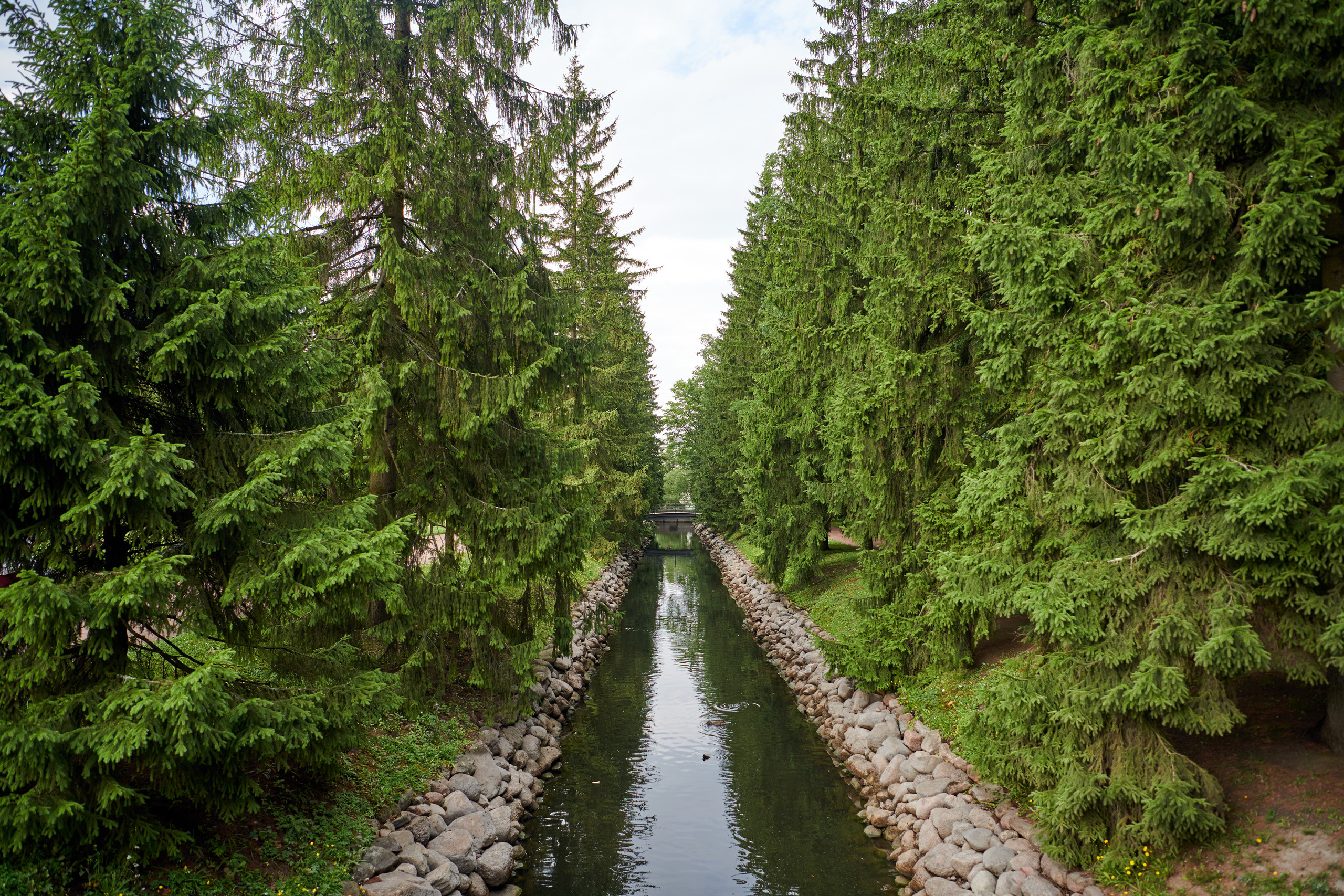 Питер 2018. Владимир Власюк