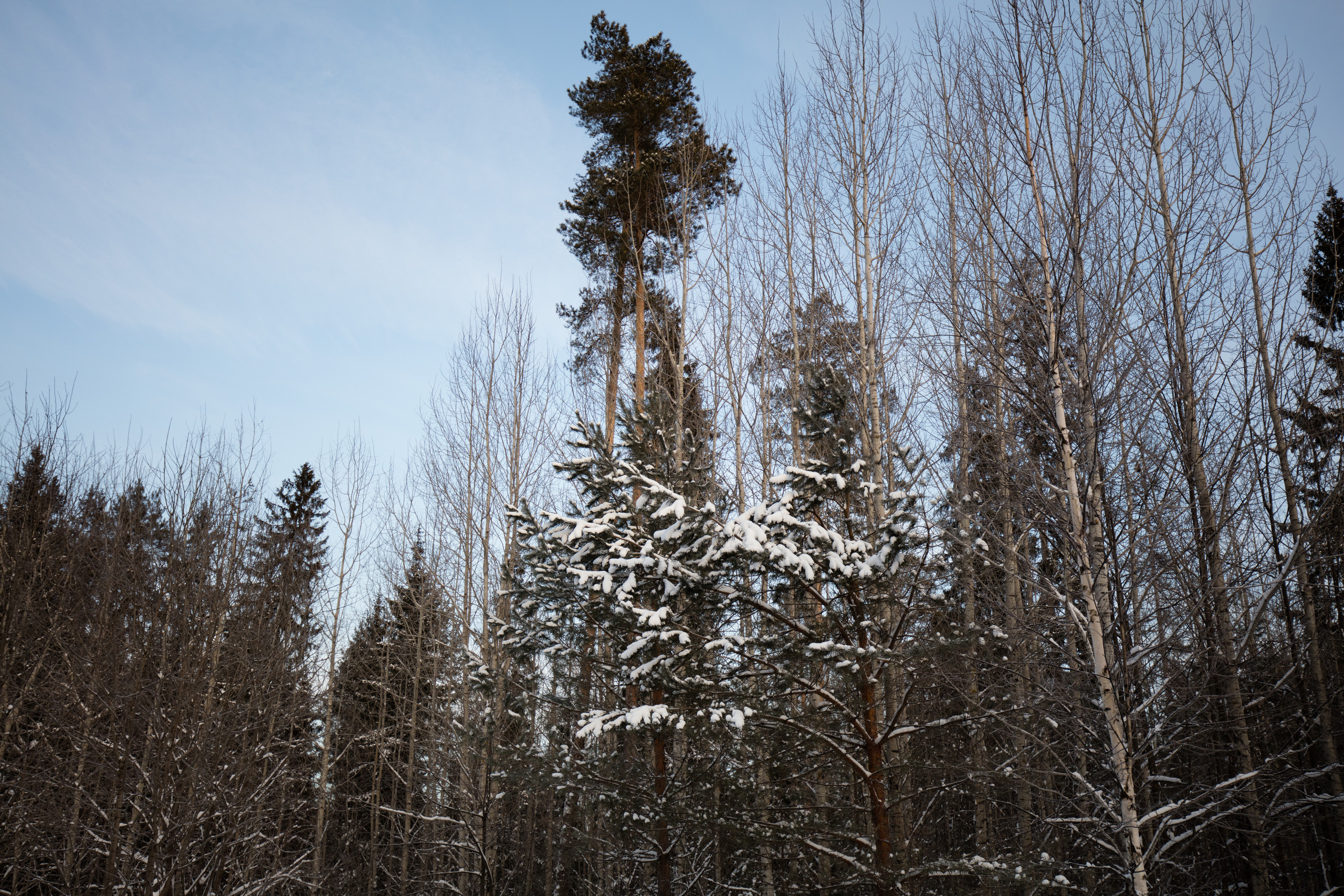 Екатеринбург. Владимир Власюк