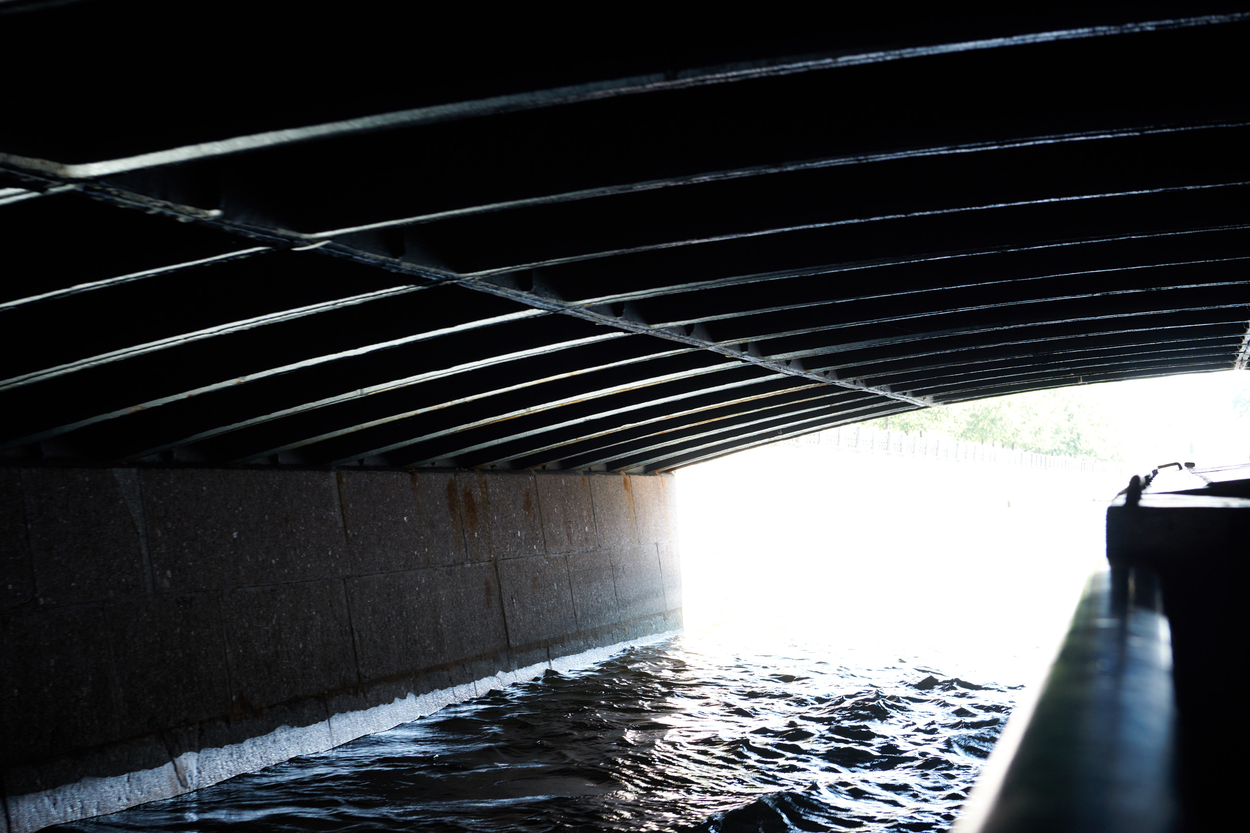 НАШИ ФОТО. Владимир Власюк