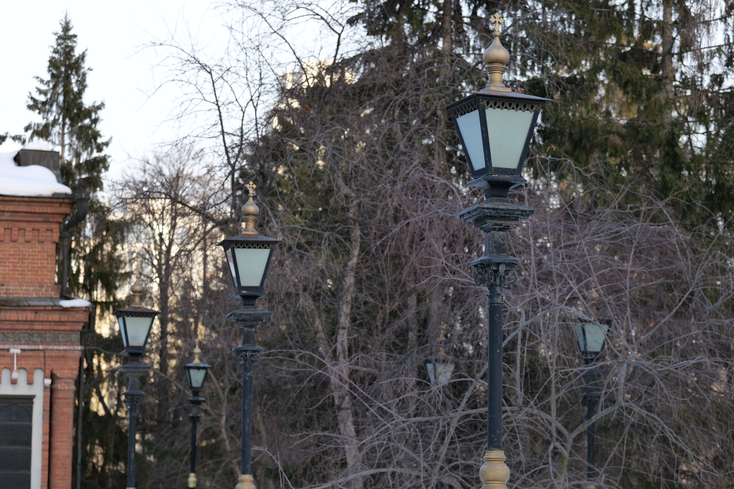 НАШИ ФОТО. Владимир Власюк