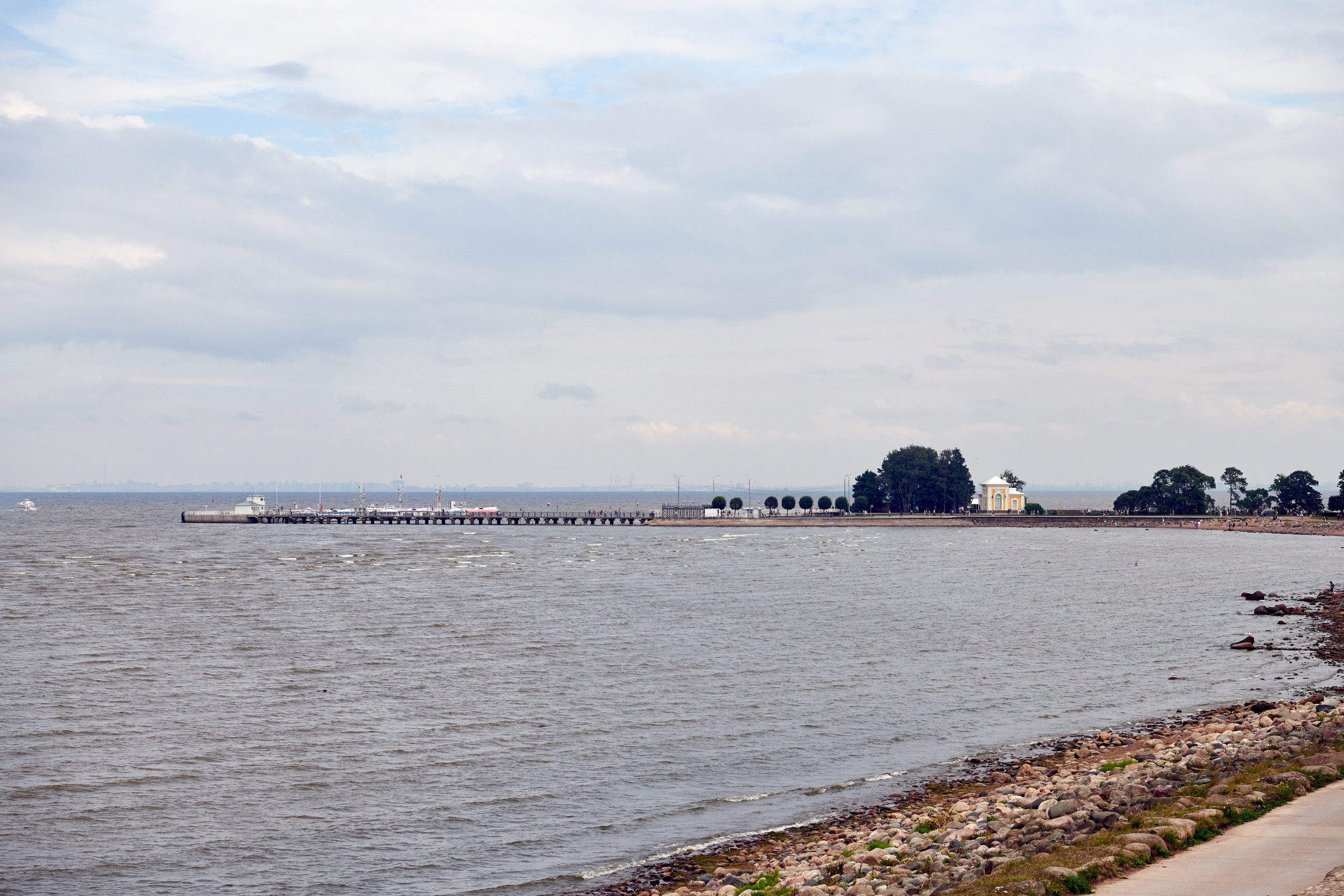 НАШИ ФОТО. Владимир Власюк