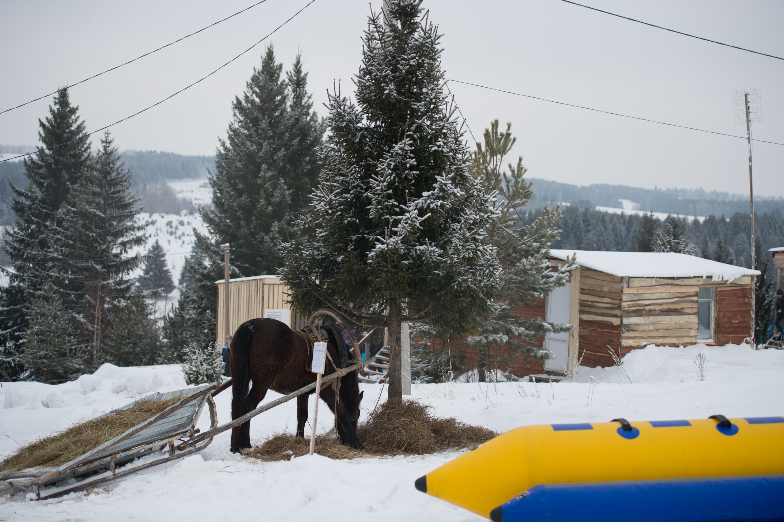 Екатеринбург. Владимир Власюк