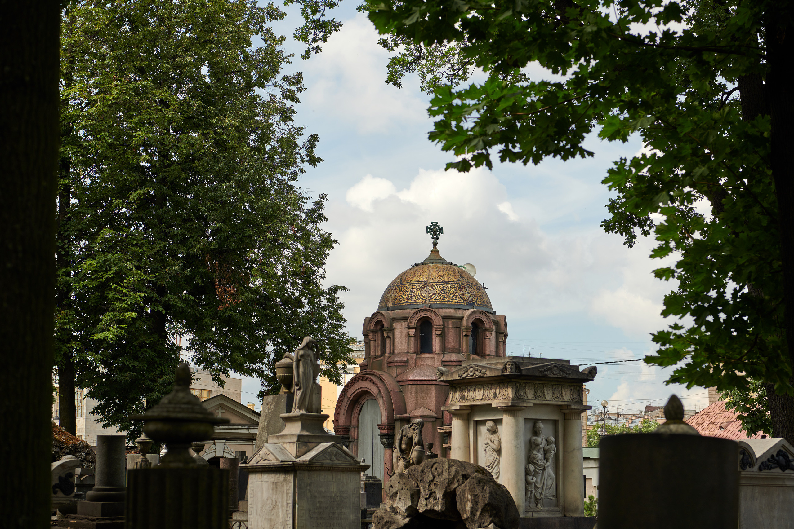 НАШИ ФОТО. Владимир Власюк