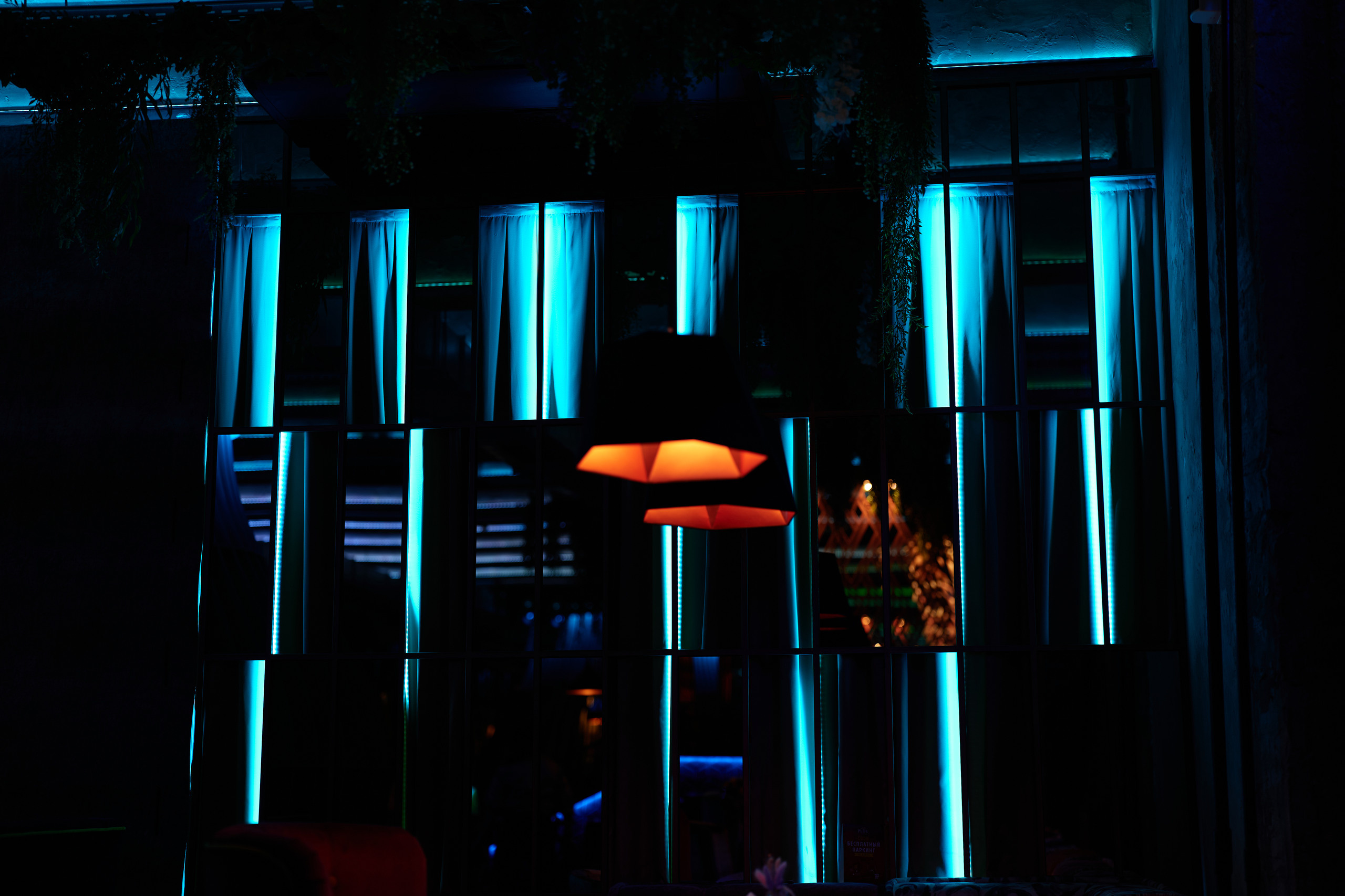 НАШИ ФОТО. Владимир Власюк