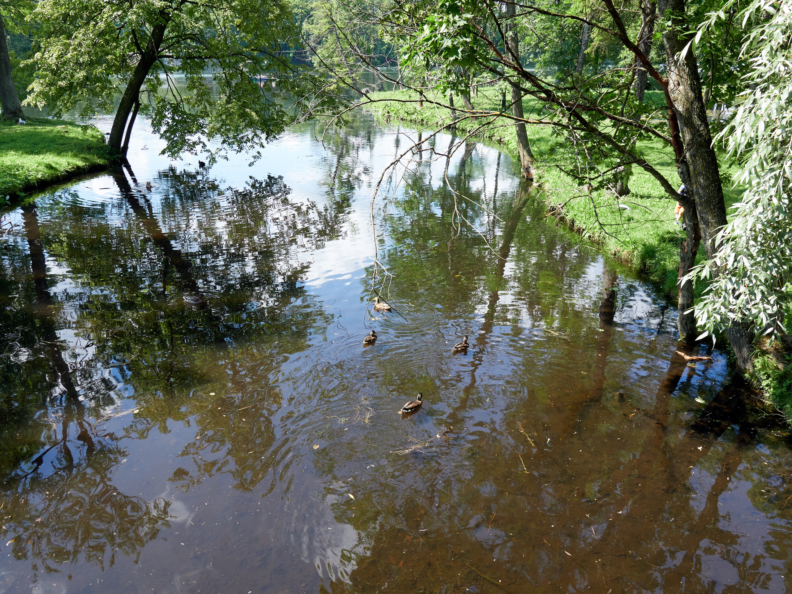 НАШИ ФОТО. Владимир Власюк