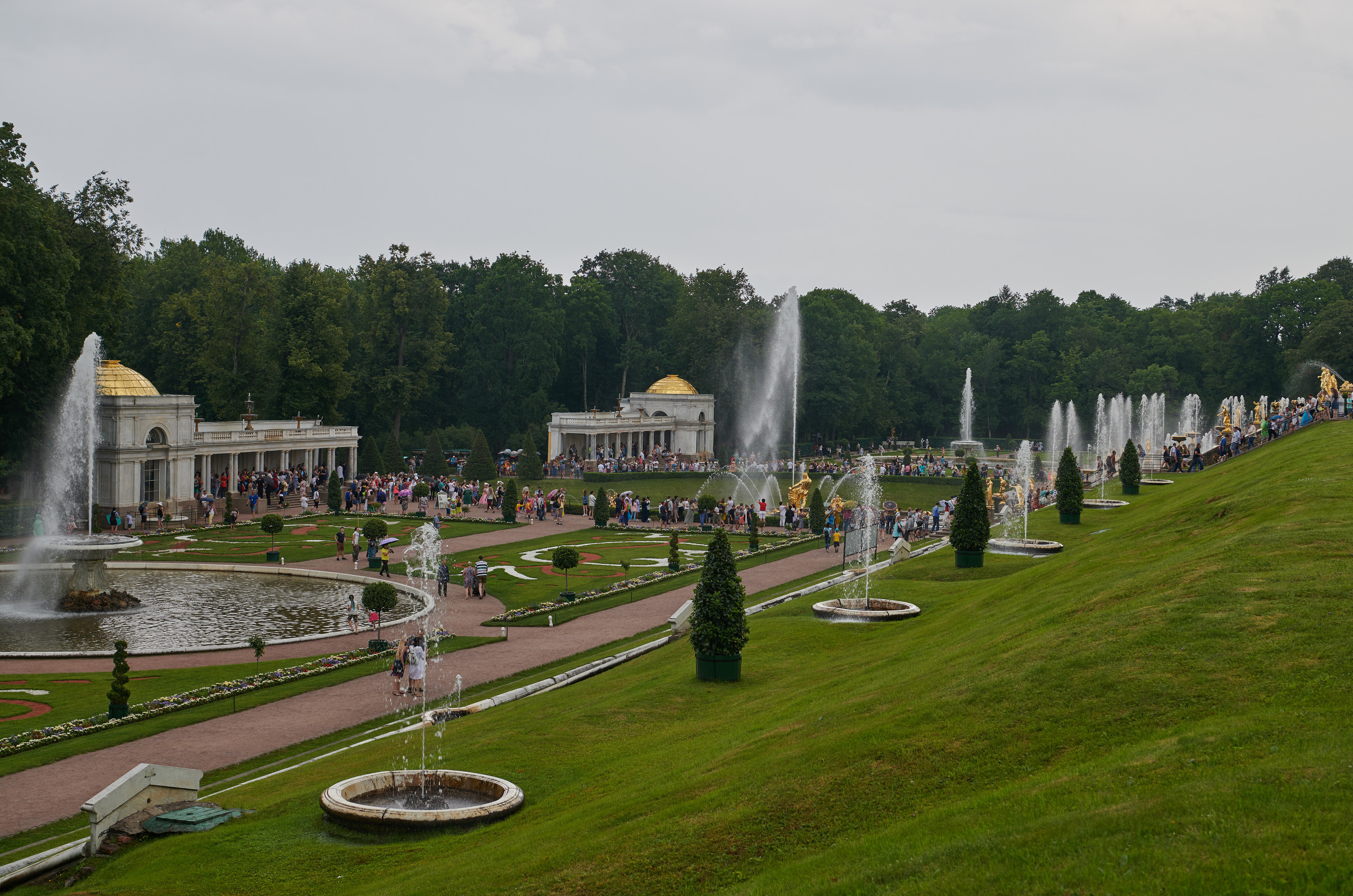 НАШИ ФОТО. Владимир Власюк