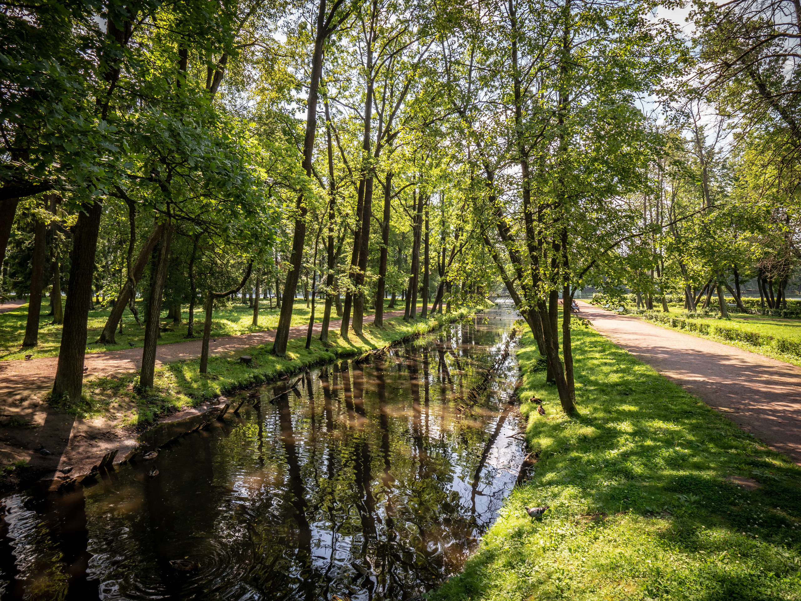 Питер 2018. Владимир Власюк