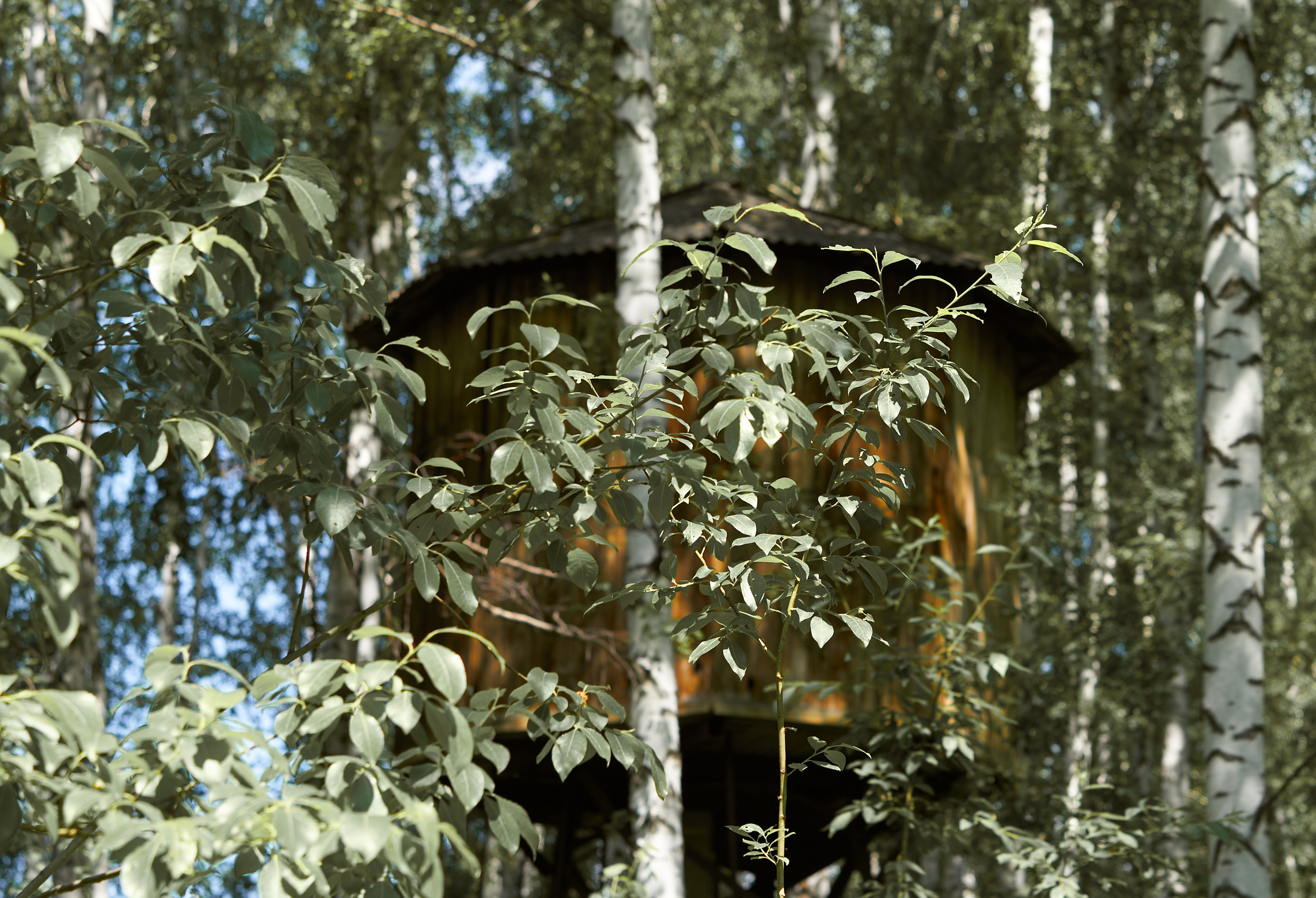 НАШИ ФОТО. Владимир Власюк