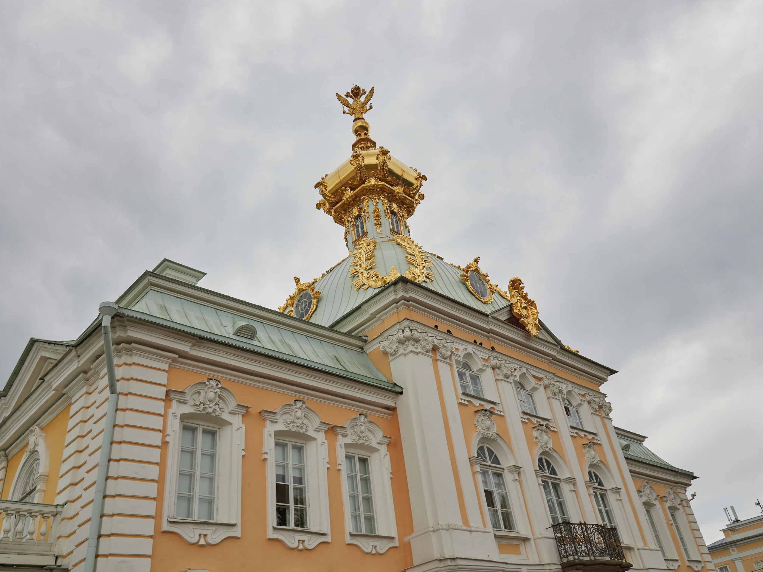 НАШИ ФОТО. Владимир Власюк