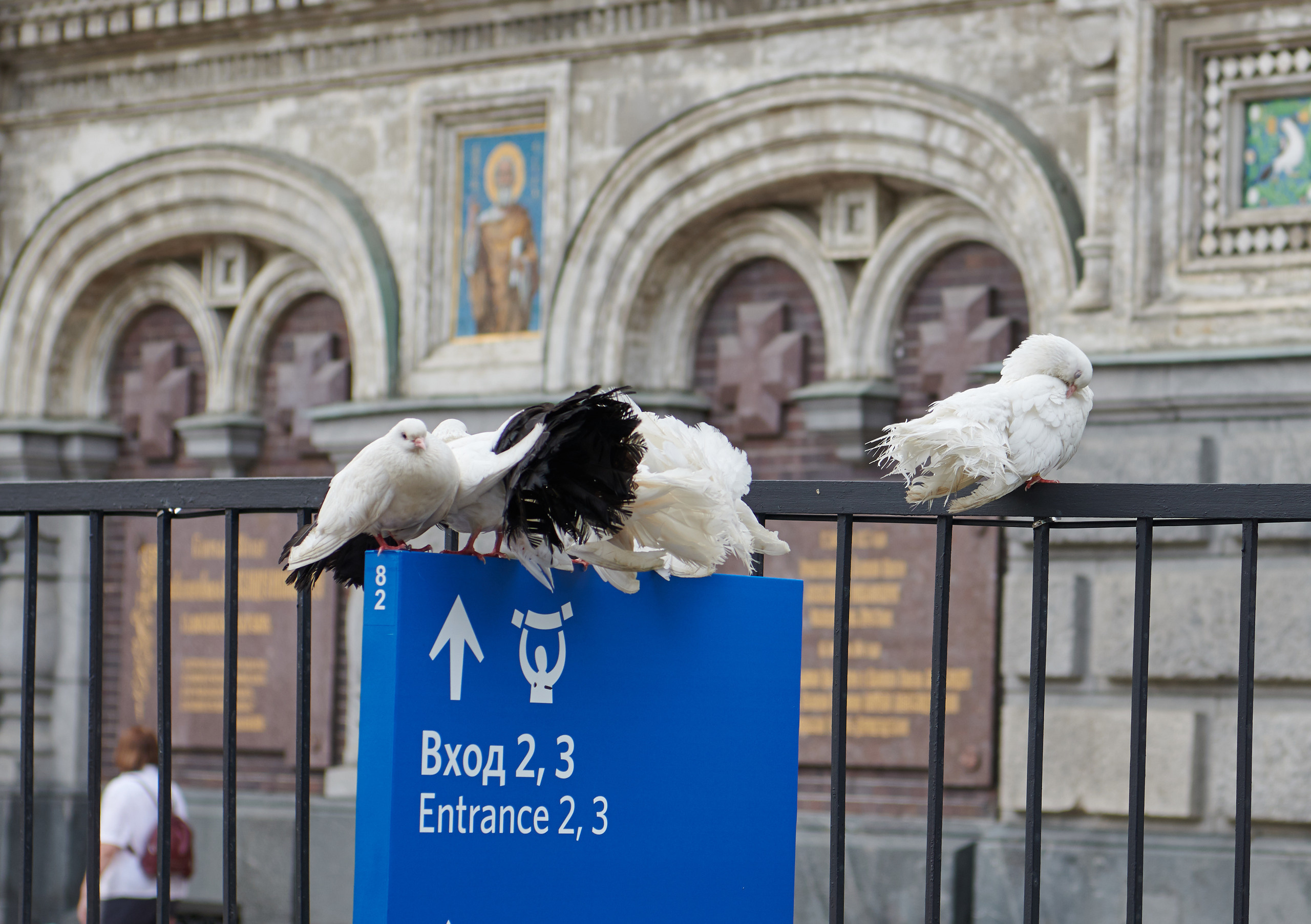 Питер 2018. Владимир Власюк