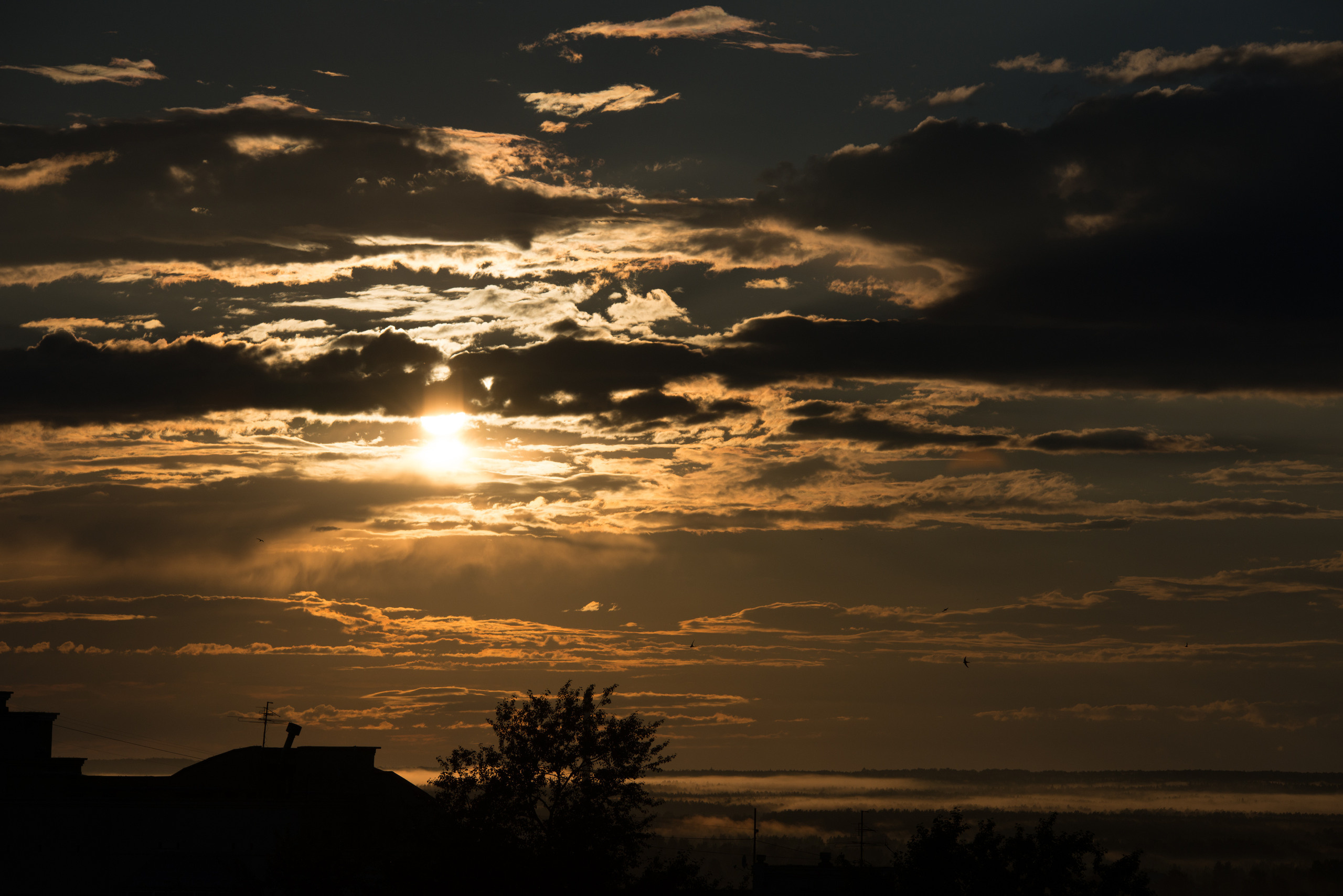НАШИ ФОТО. Владимир Власюк