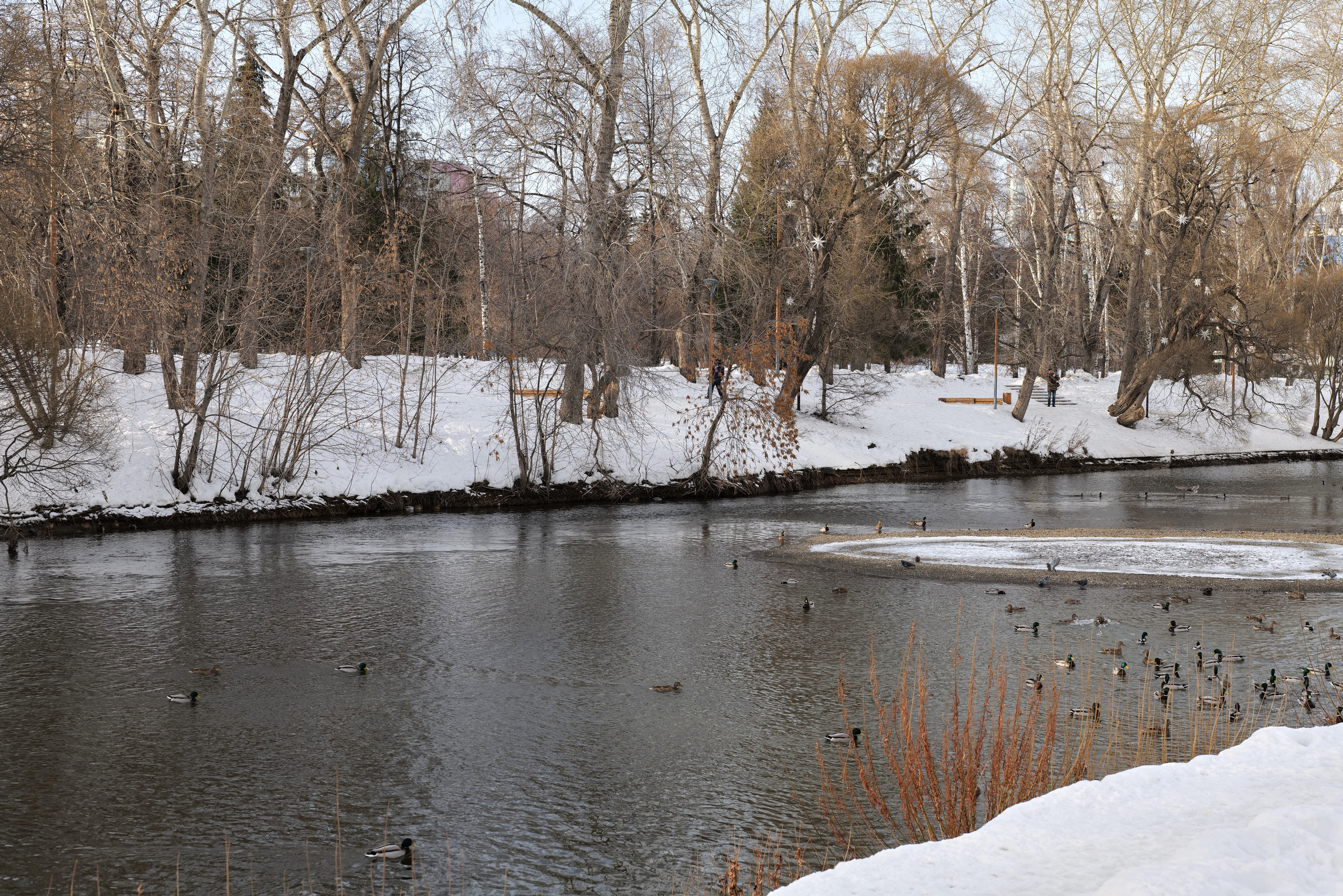 НАШИ ФОТО. Владимир Власюк