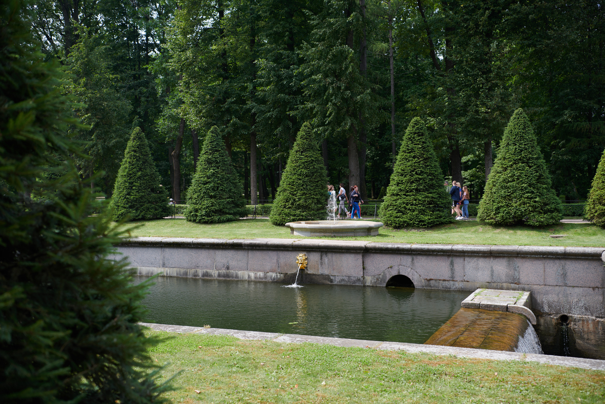 НАШИ ФОТО. Владимир Власюк