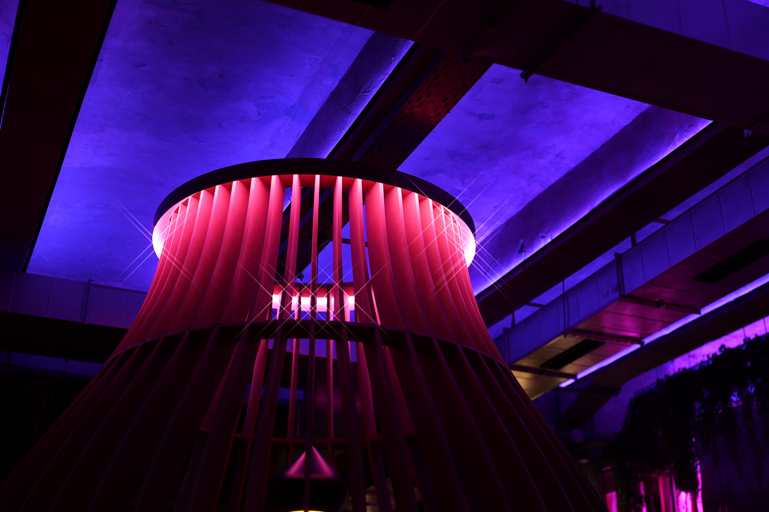 НАШИ ФОТО. Владимир Власюк