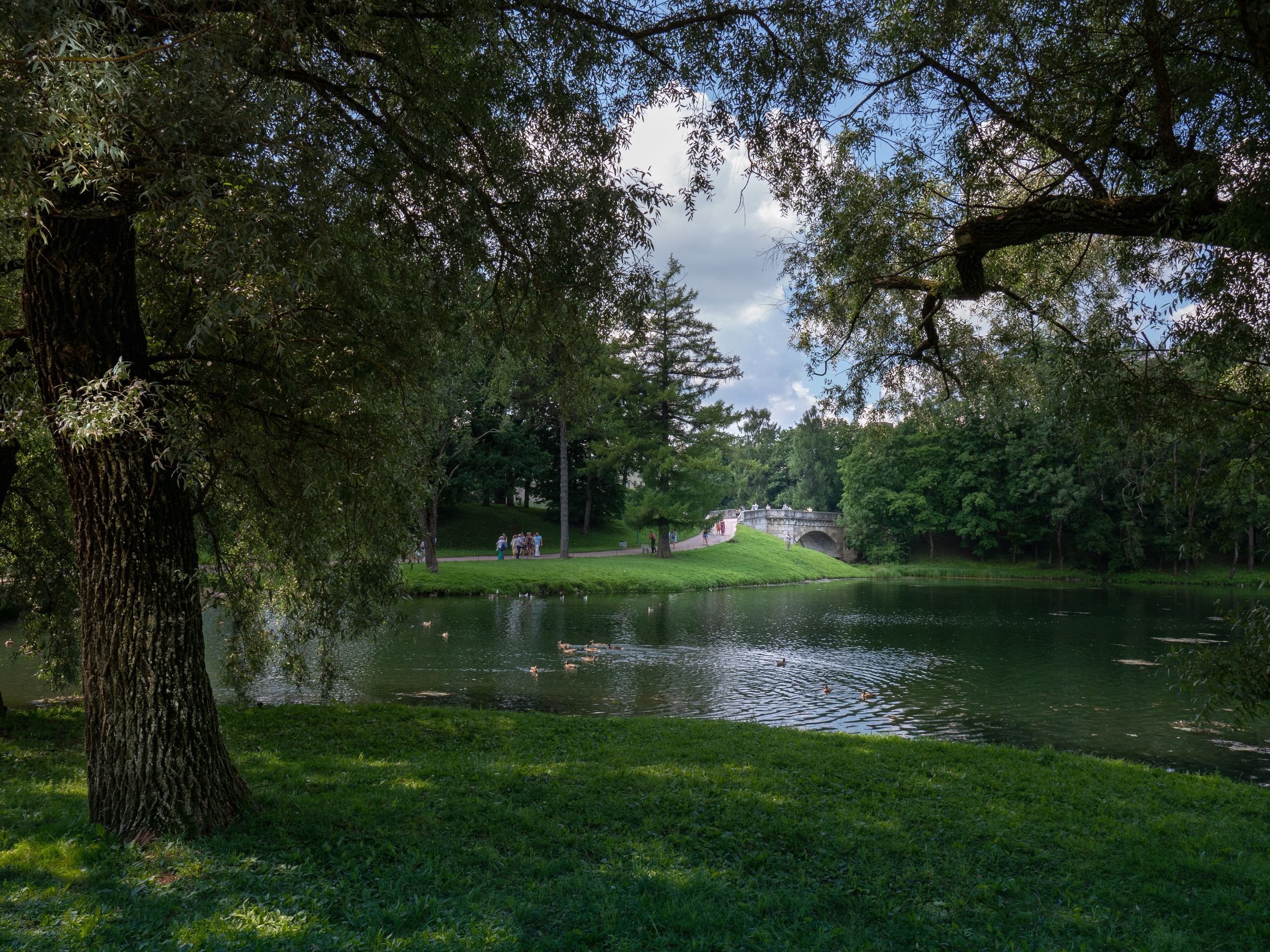 Питер 2018. Владимир Власюк