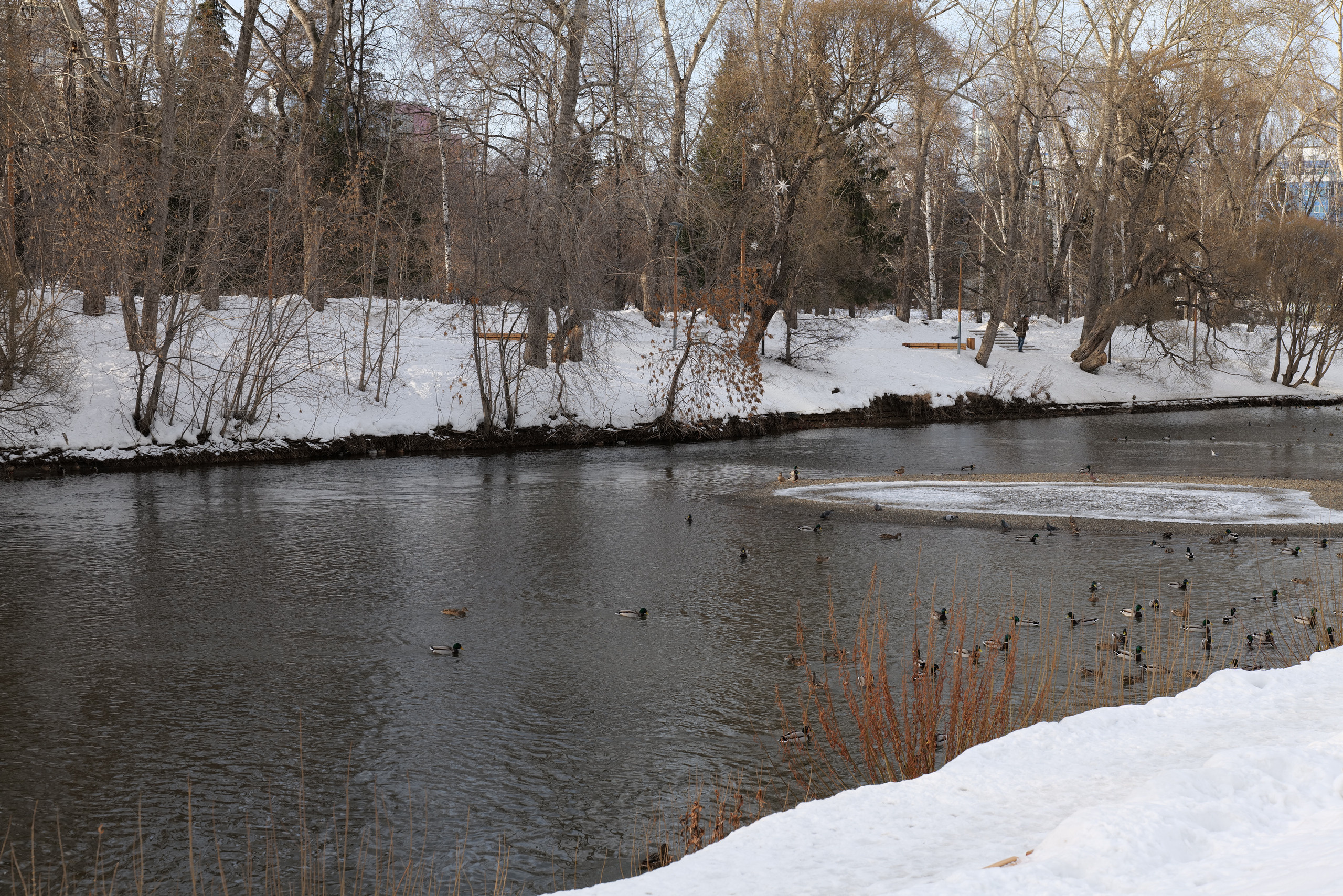 НАШИ ФОТО. Владимир Власюк