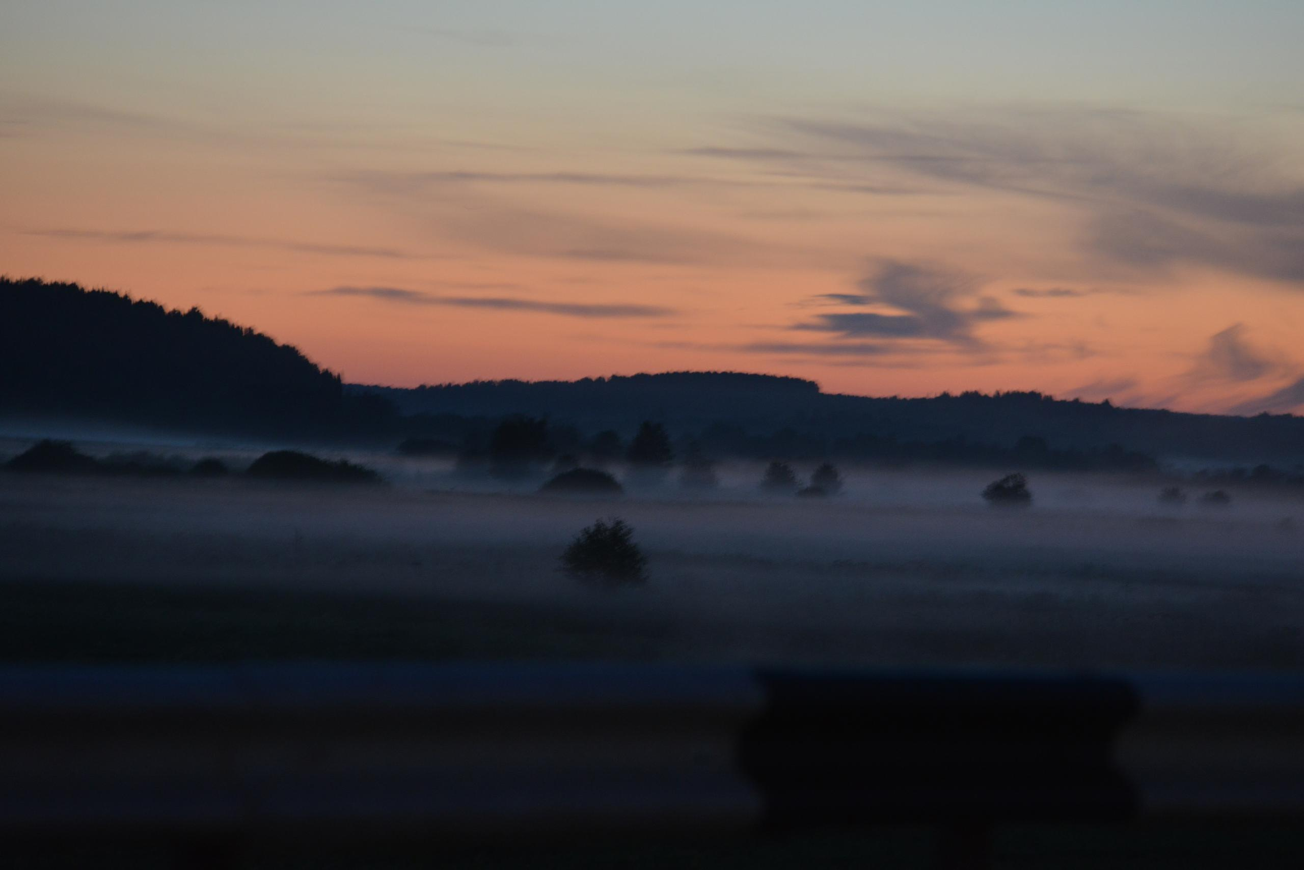 НАШИ ФОТО. Владимир Власюк