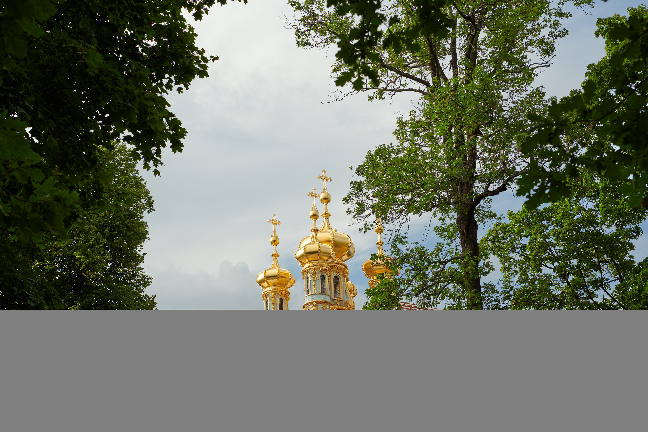 Питер 2018. Владимир Власюк