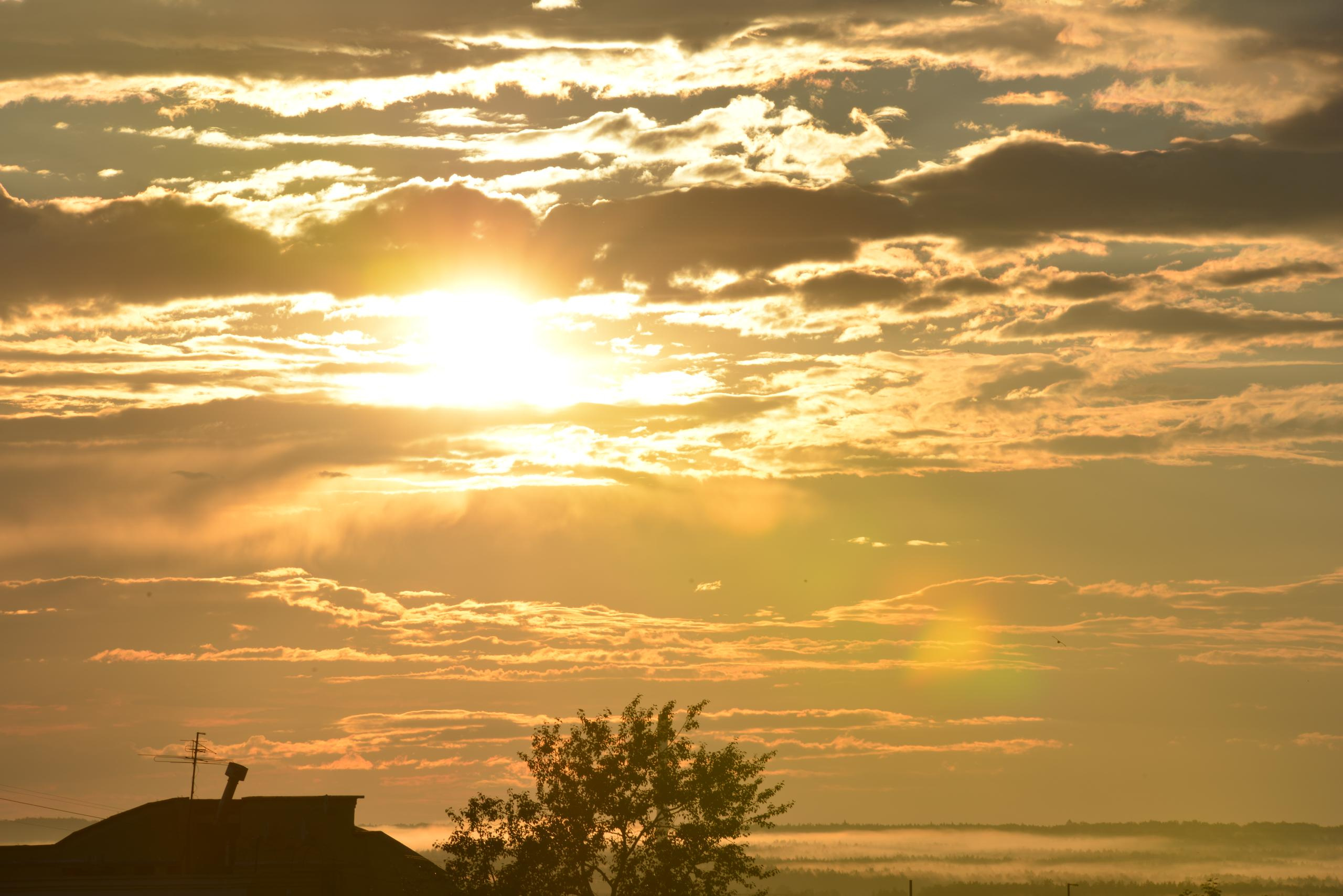 НАШИ ФОТО. Владимир Власюк