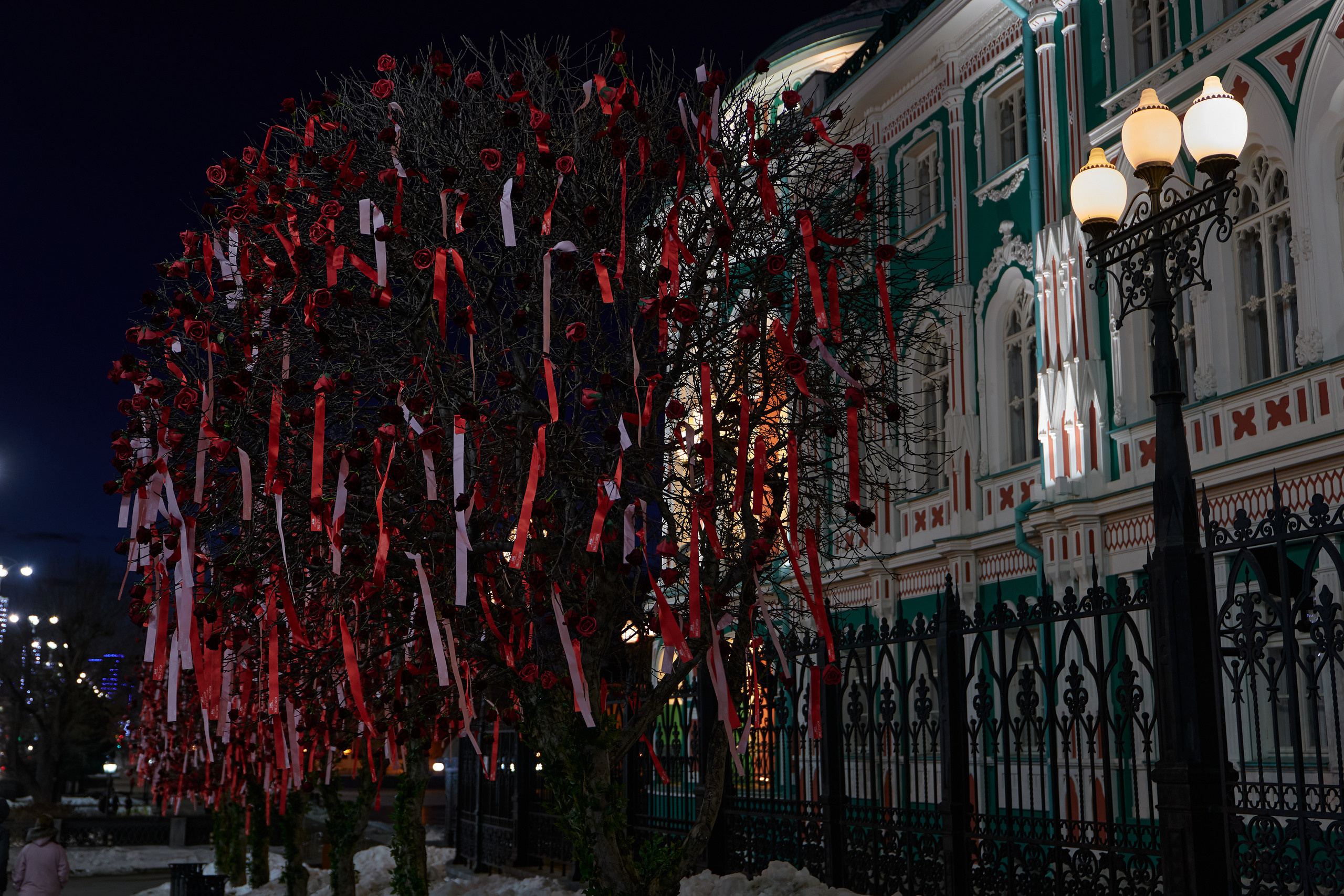 НАШИ ФОТО. Владимир Власюк