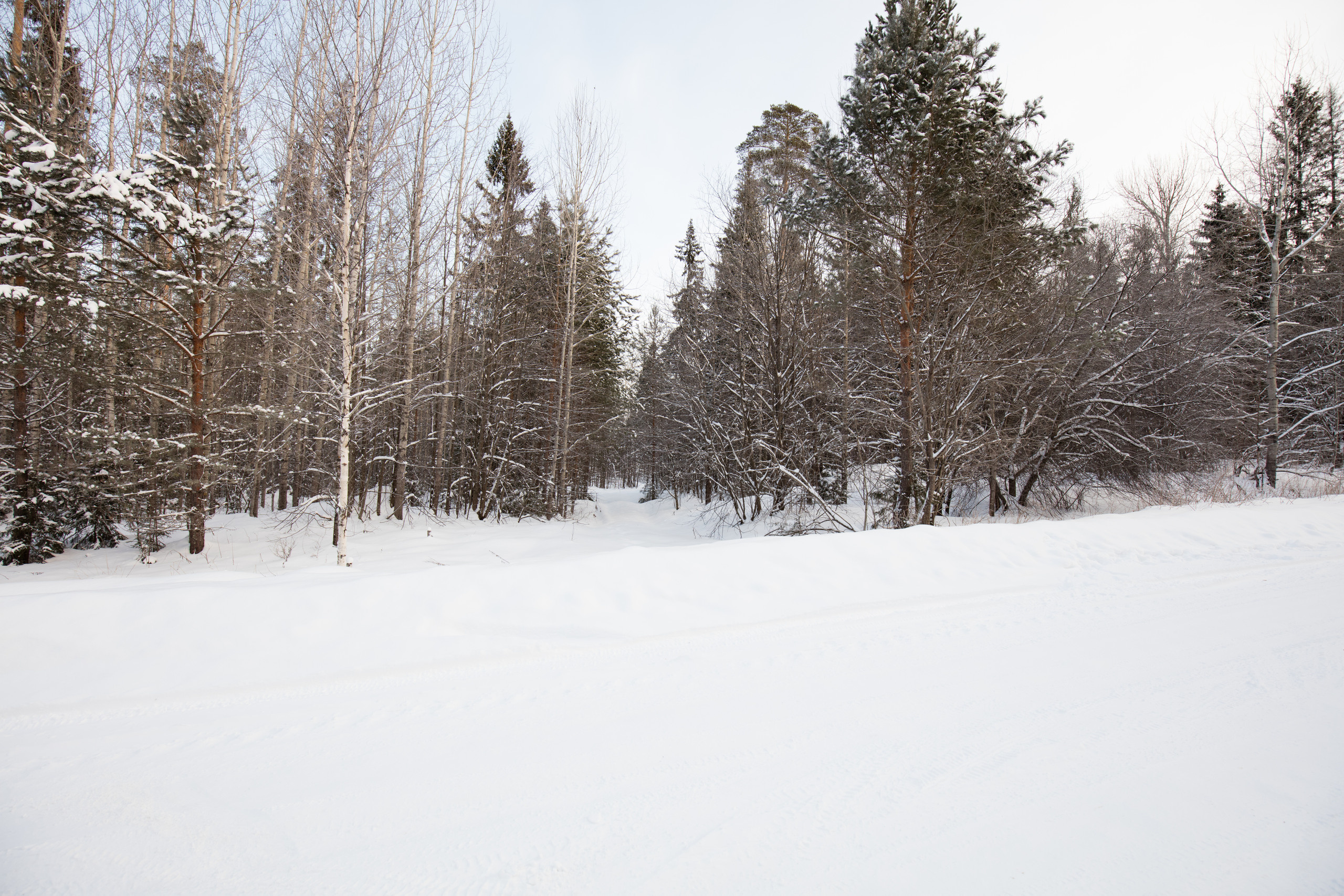 Екатеринбург. Владимир Власюк