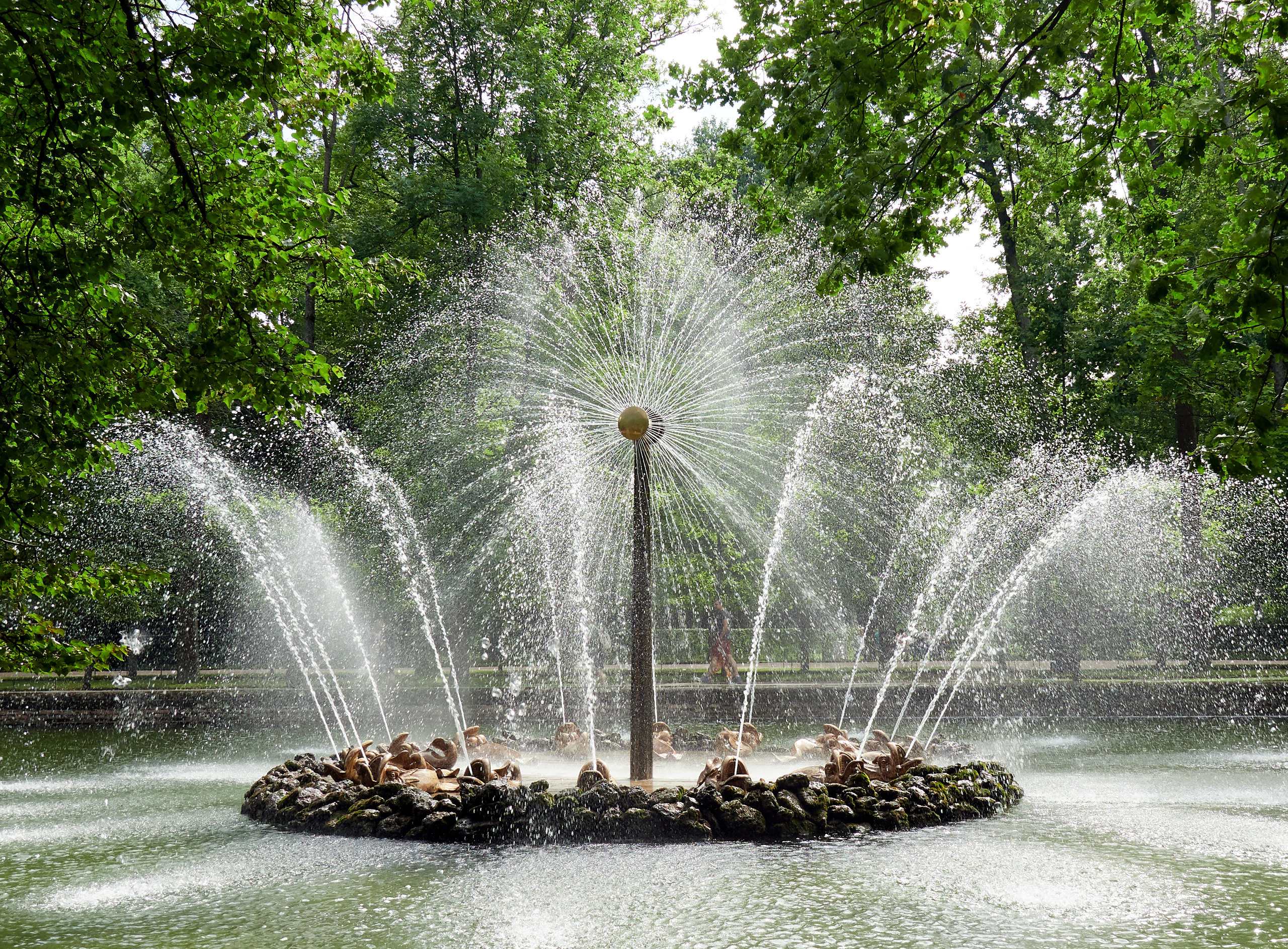 Питер 2018. Владимир Власюк