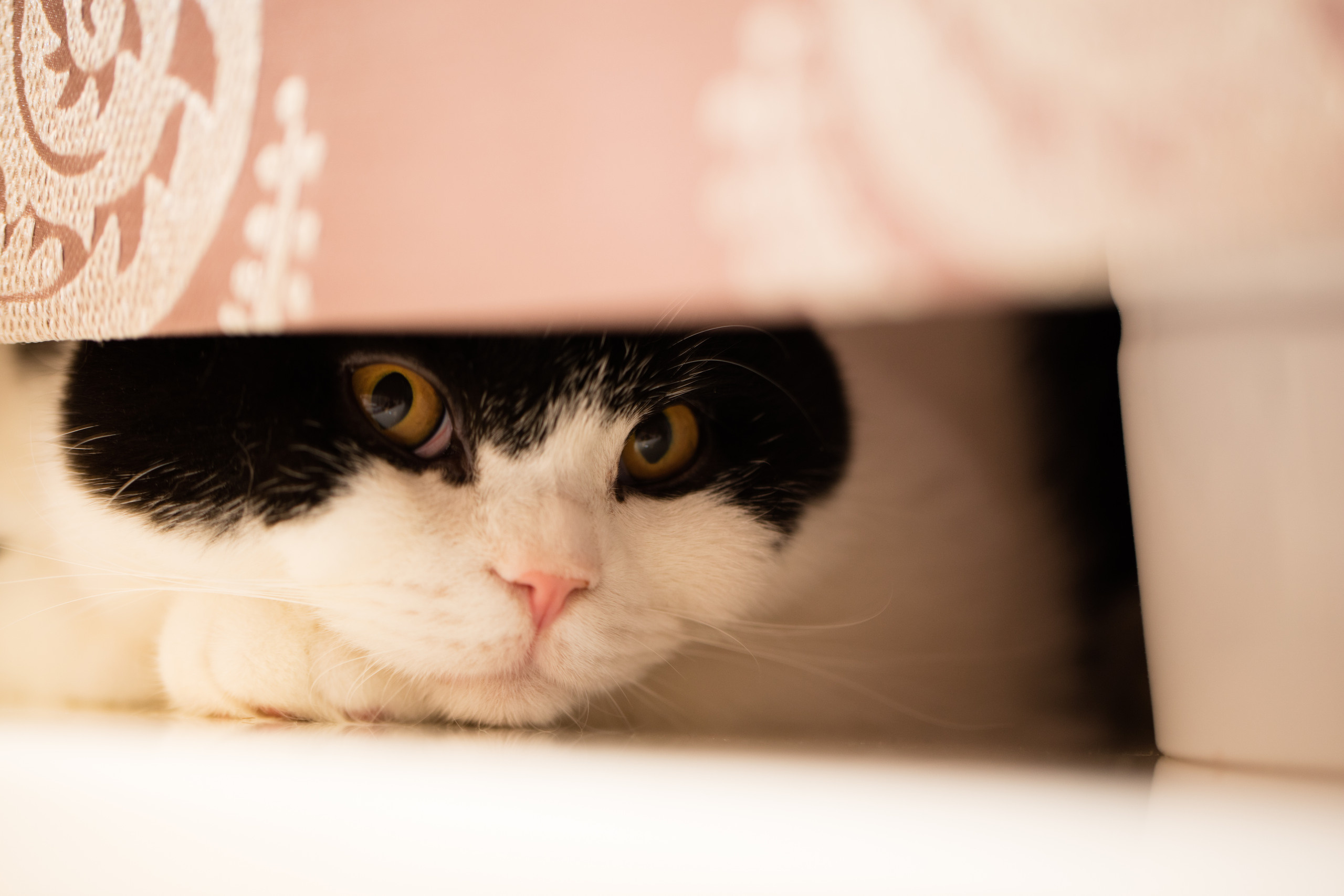 Екатеринбург. Владимир Власюк