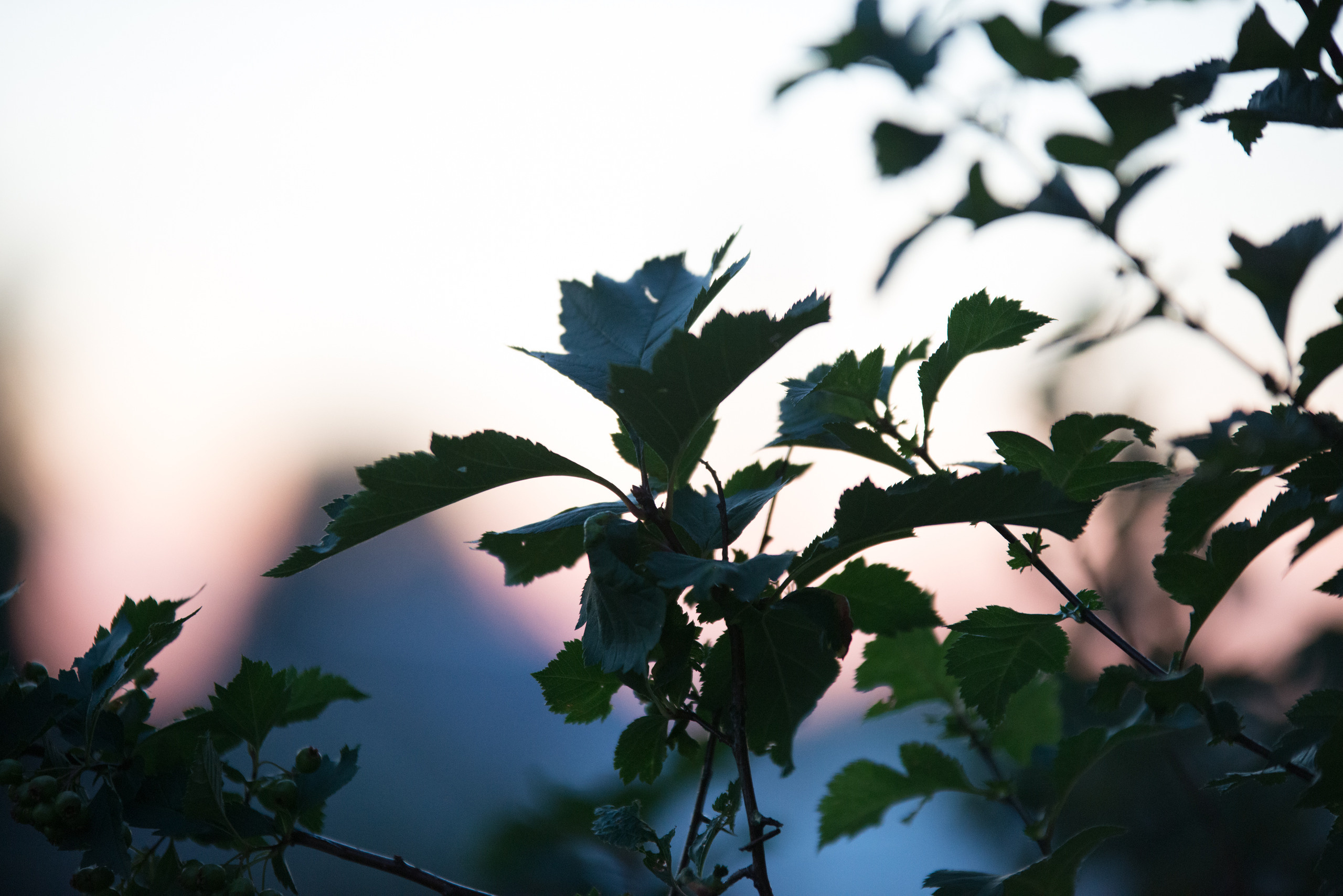 НАШИ ФОТО. Владимир Власюк