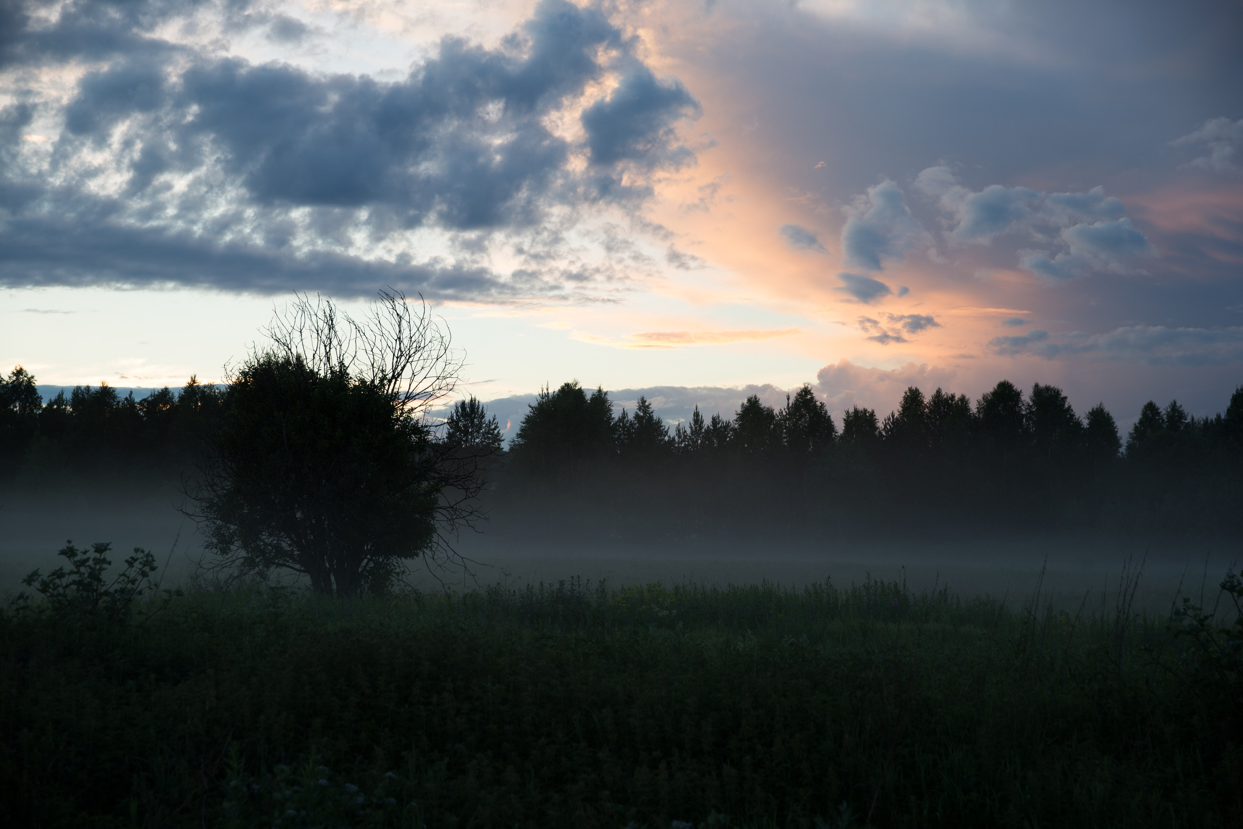 НАШИ ФОТО. Владимир Власюк