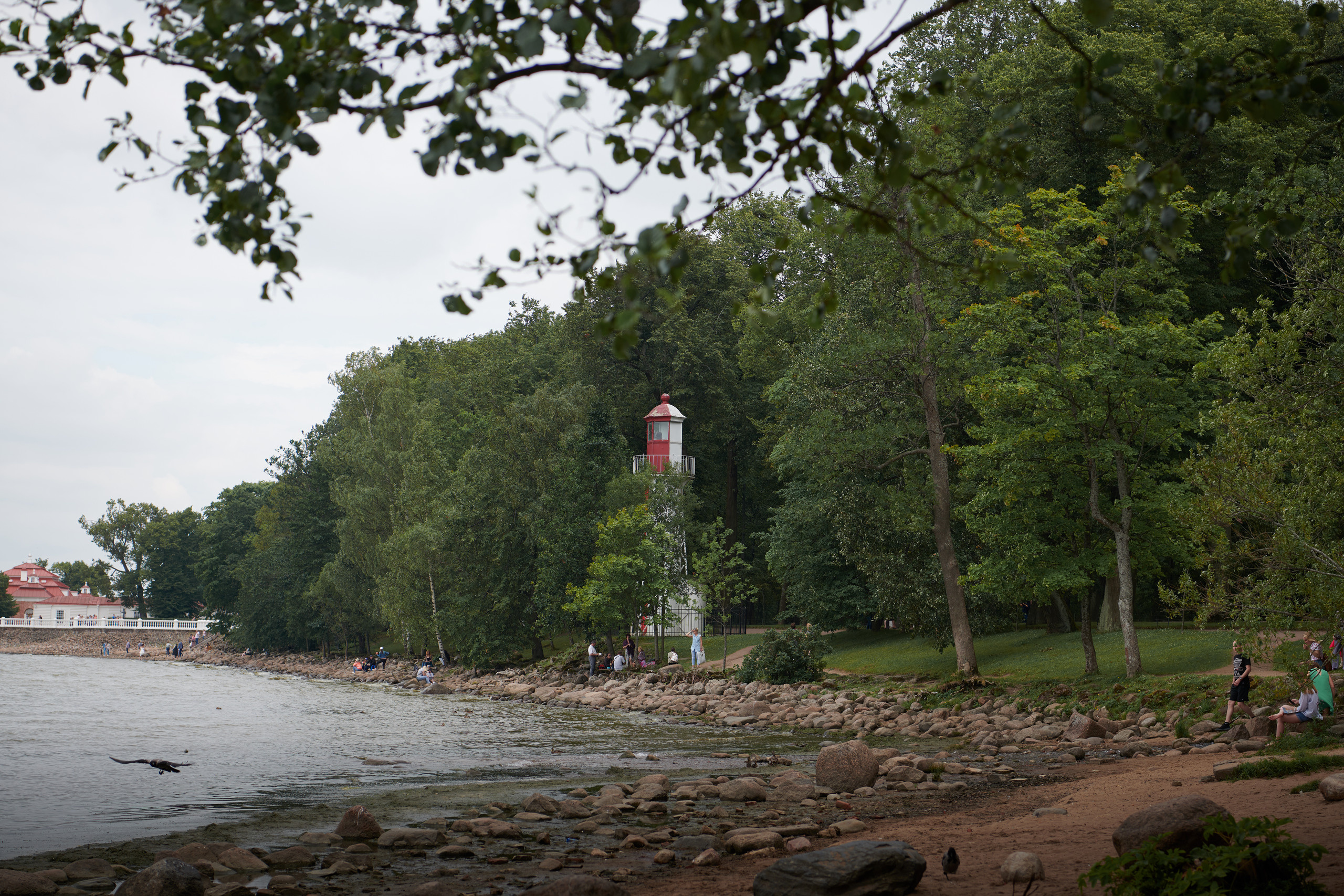 Питер 2018. Владимир Власюк