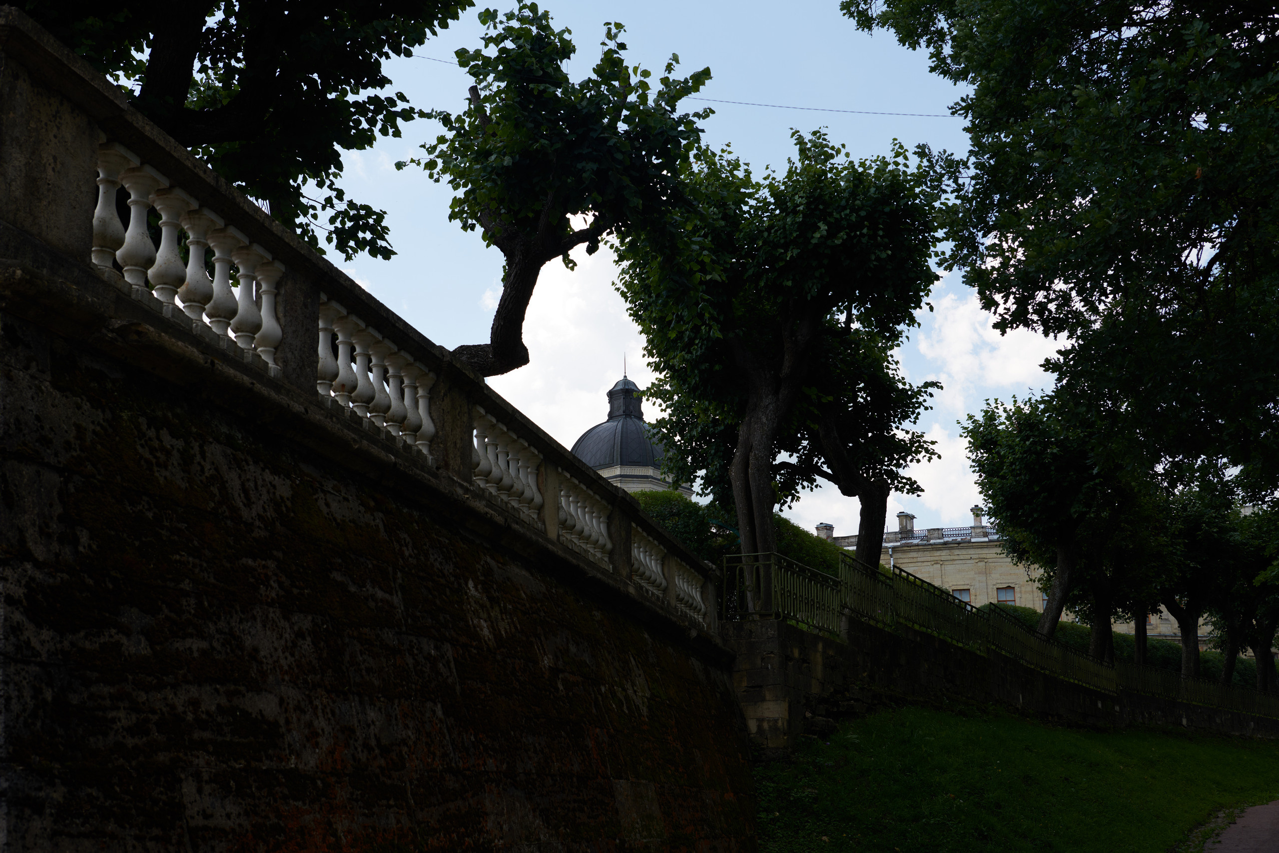 НАШИ ФОТО. Владимир Власюк