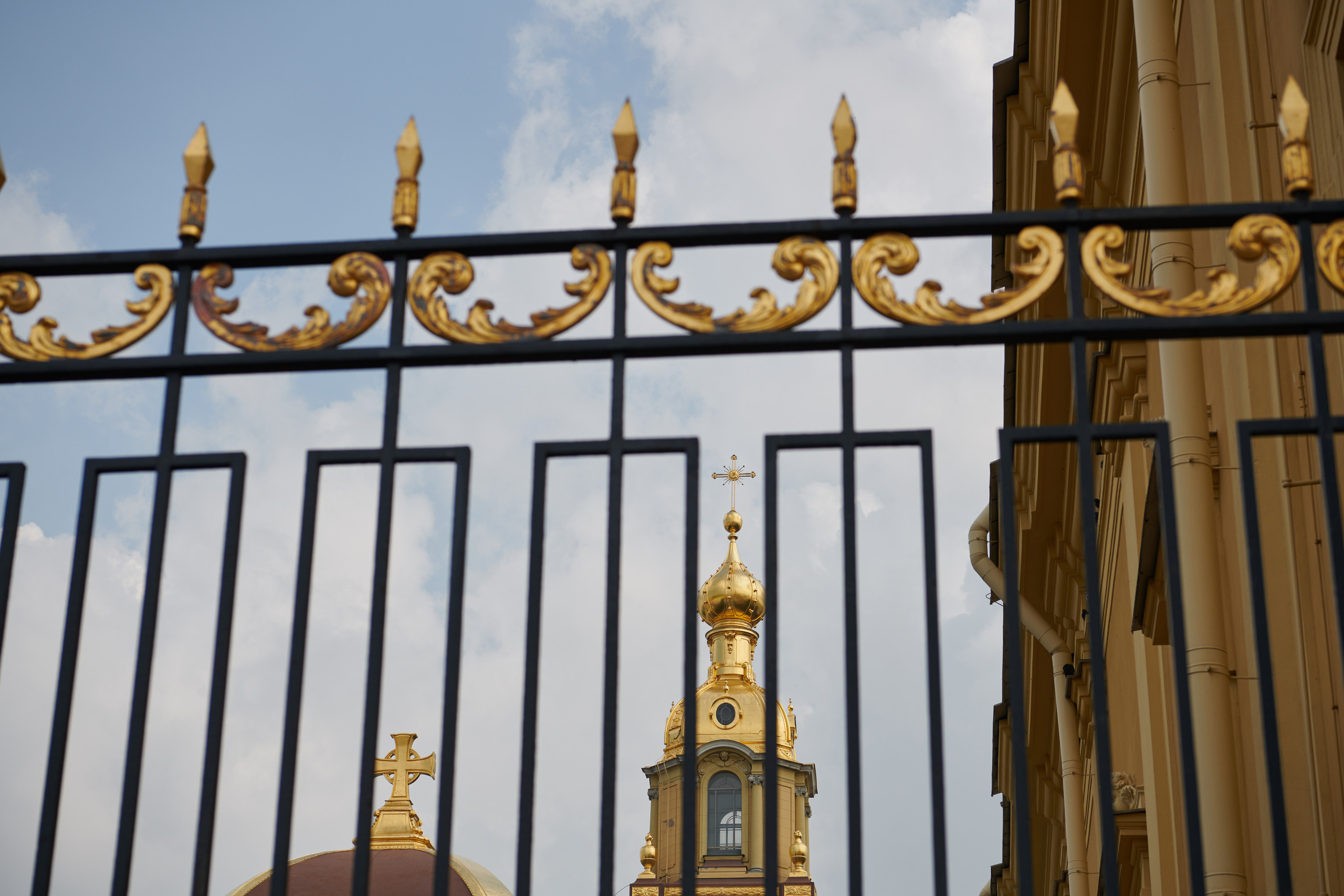 Питер 2018. Владимир Власюк