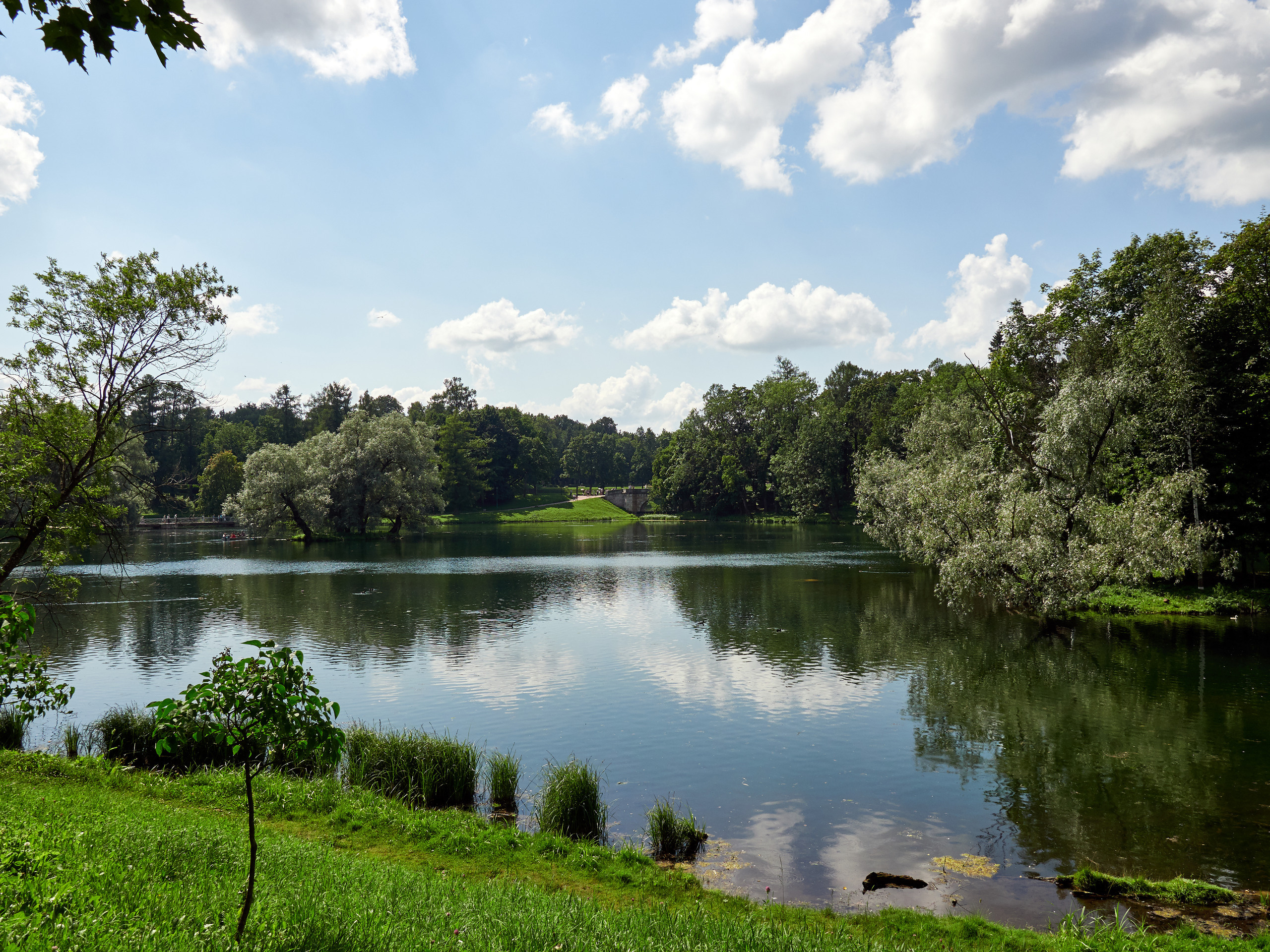 НАШИ ФОТО. Владимир Власюк