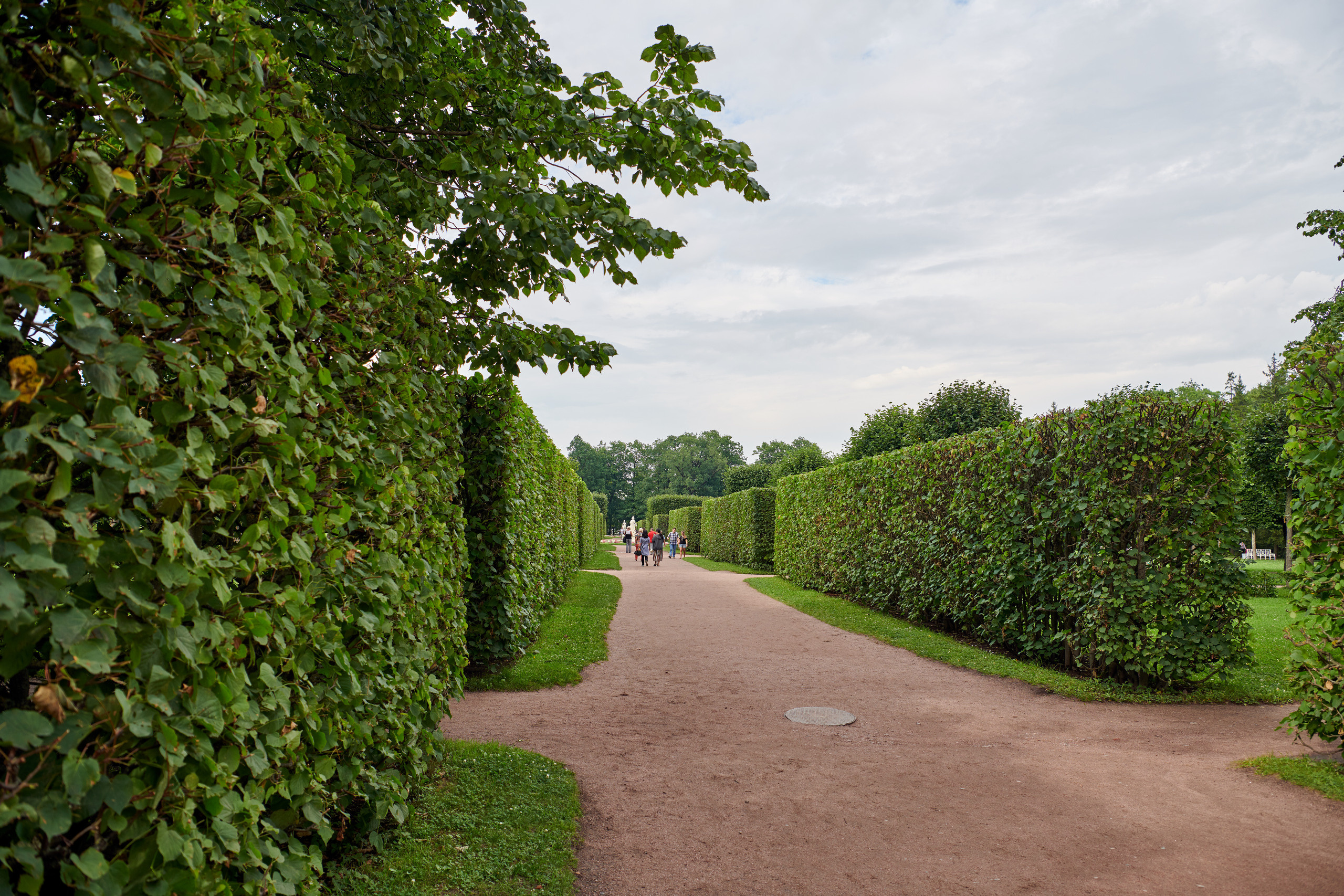 Питер 2018. Владимир Власюк
