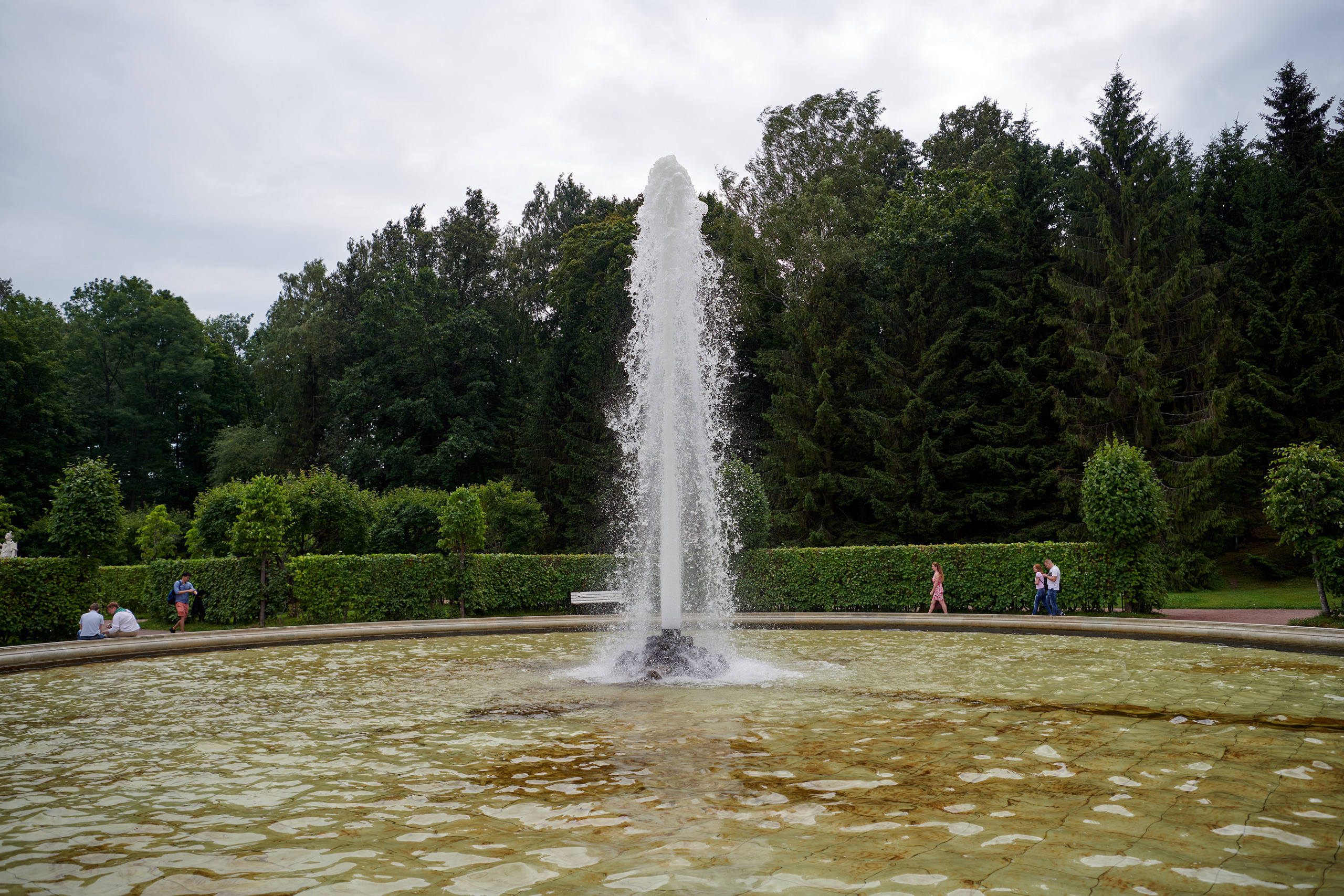 НАШИ ФОТО. Владимир Власюк