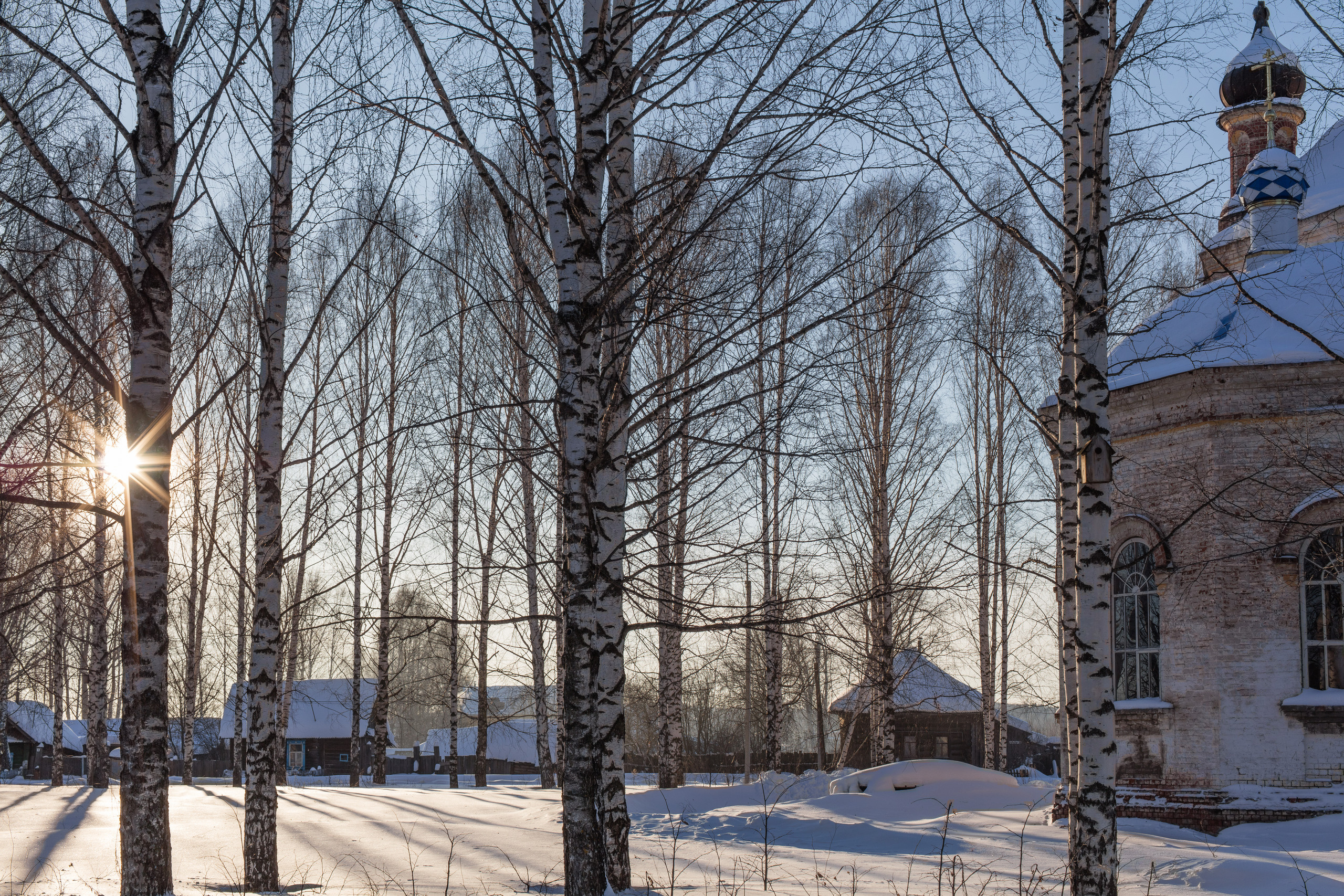 НАШИ ФОТО. Владимир Власюк