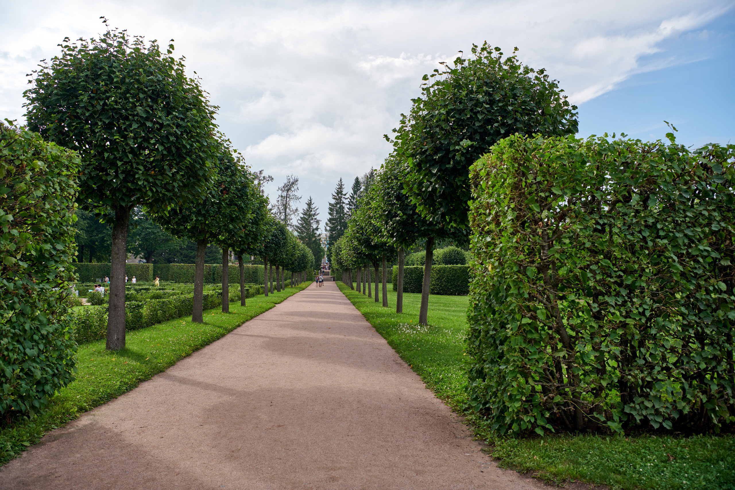 Питер 2018. Владимир Власюк