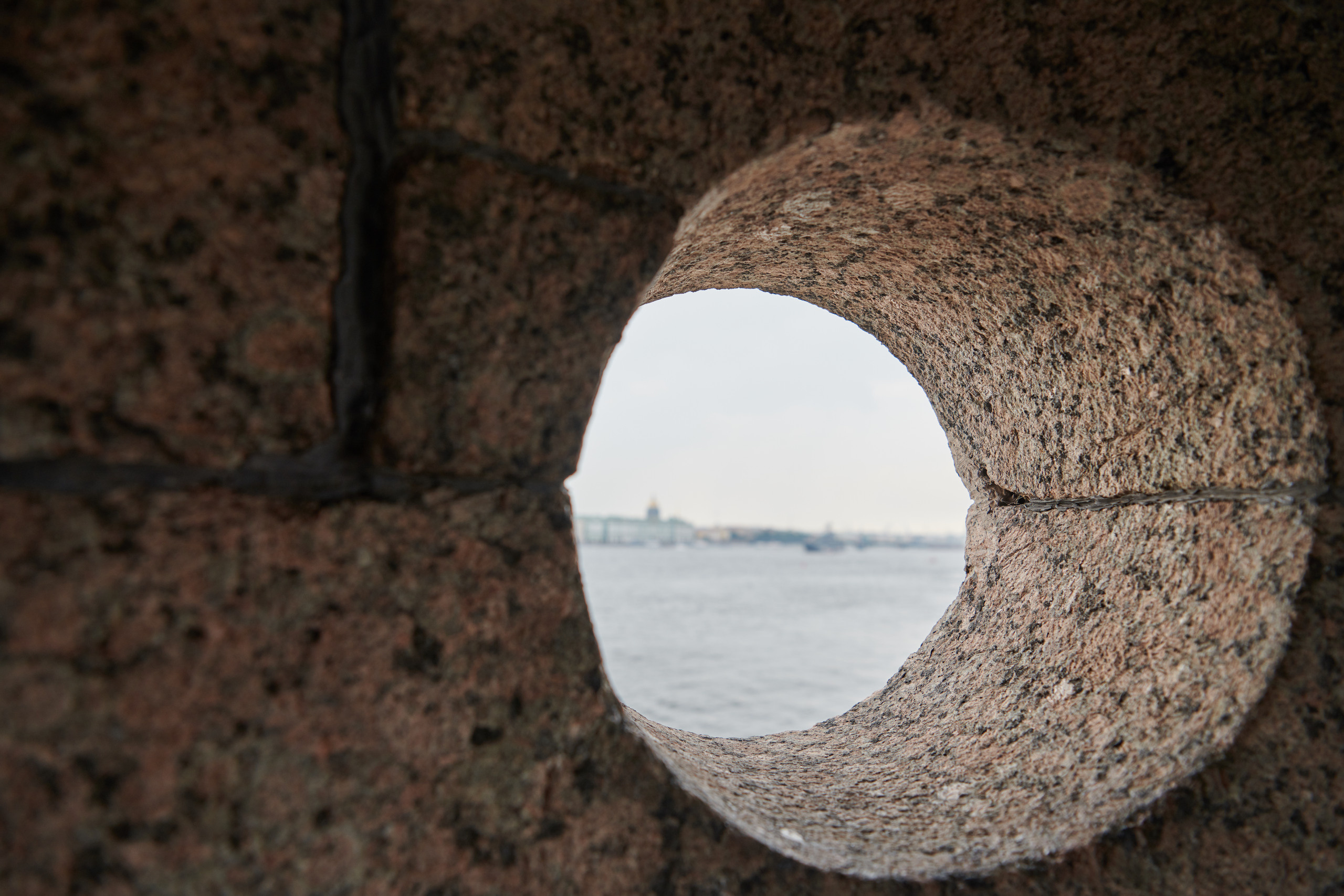 НАШИ ФОТО. Владимир Власюк